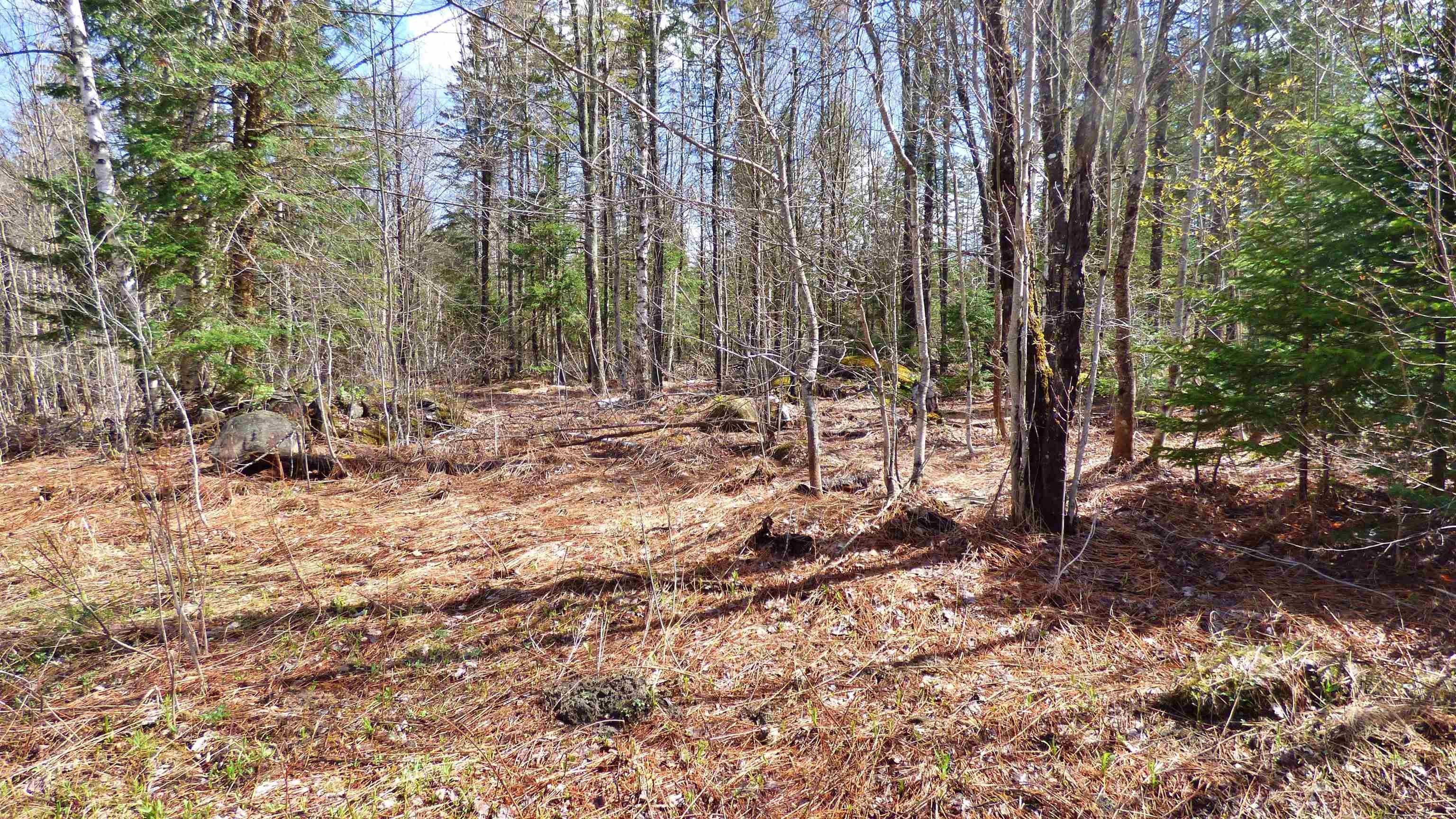 Wheelock, Vermont, 05851, United States, ,Land,For Sale,2017669