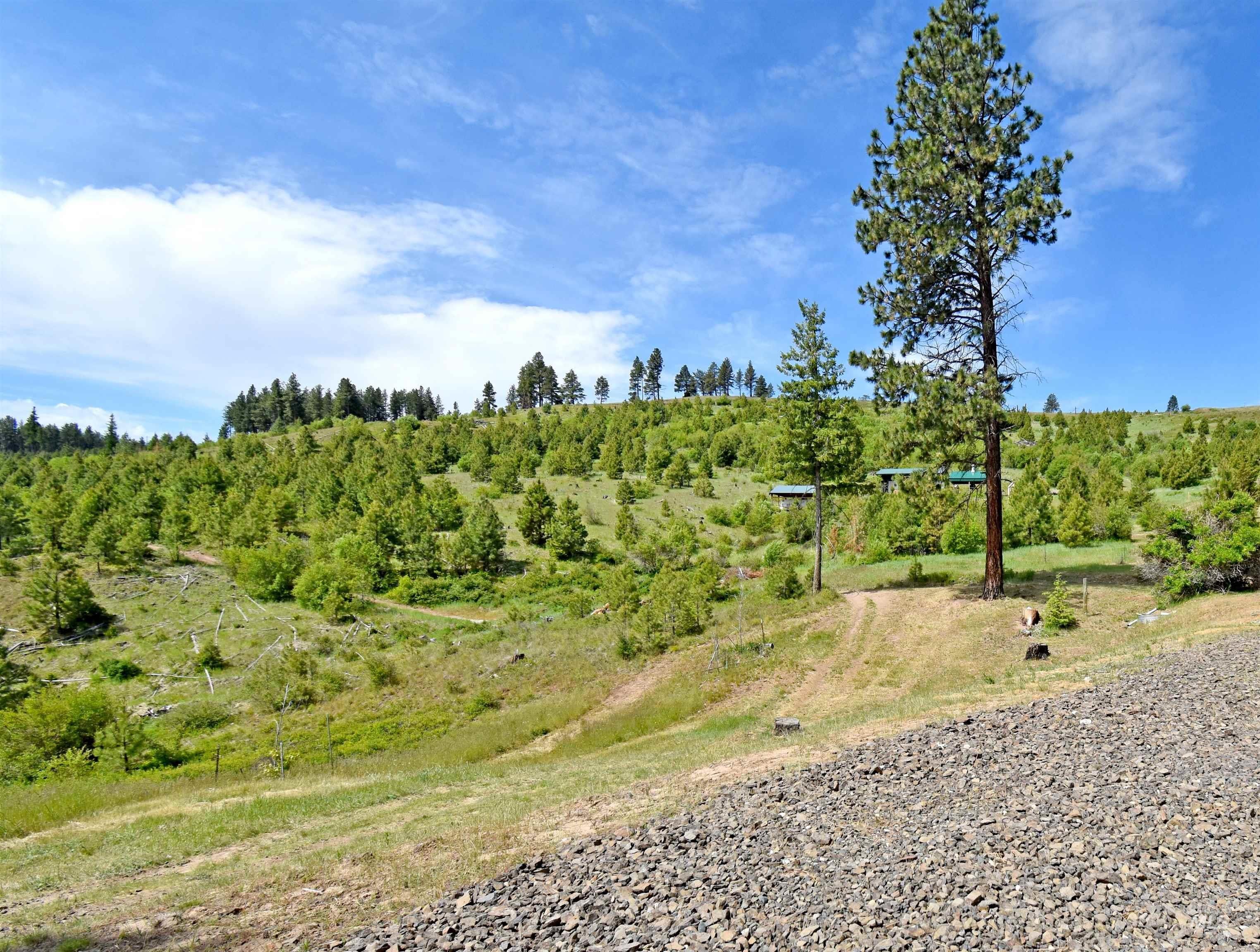 Pomeroy, Washington, 99347, United States, 3 Bedrooms Bedrooms, ,2 BathroomsBathrooms,Residential,For Sale,1978313