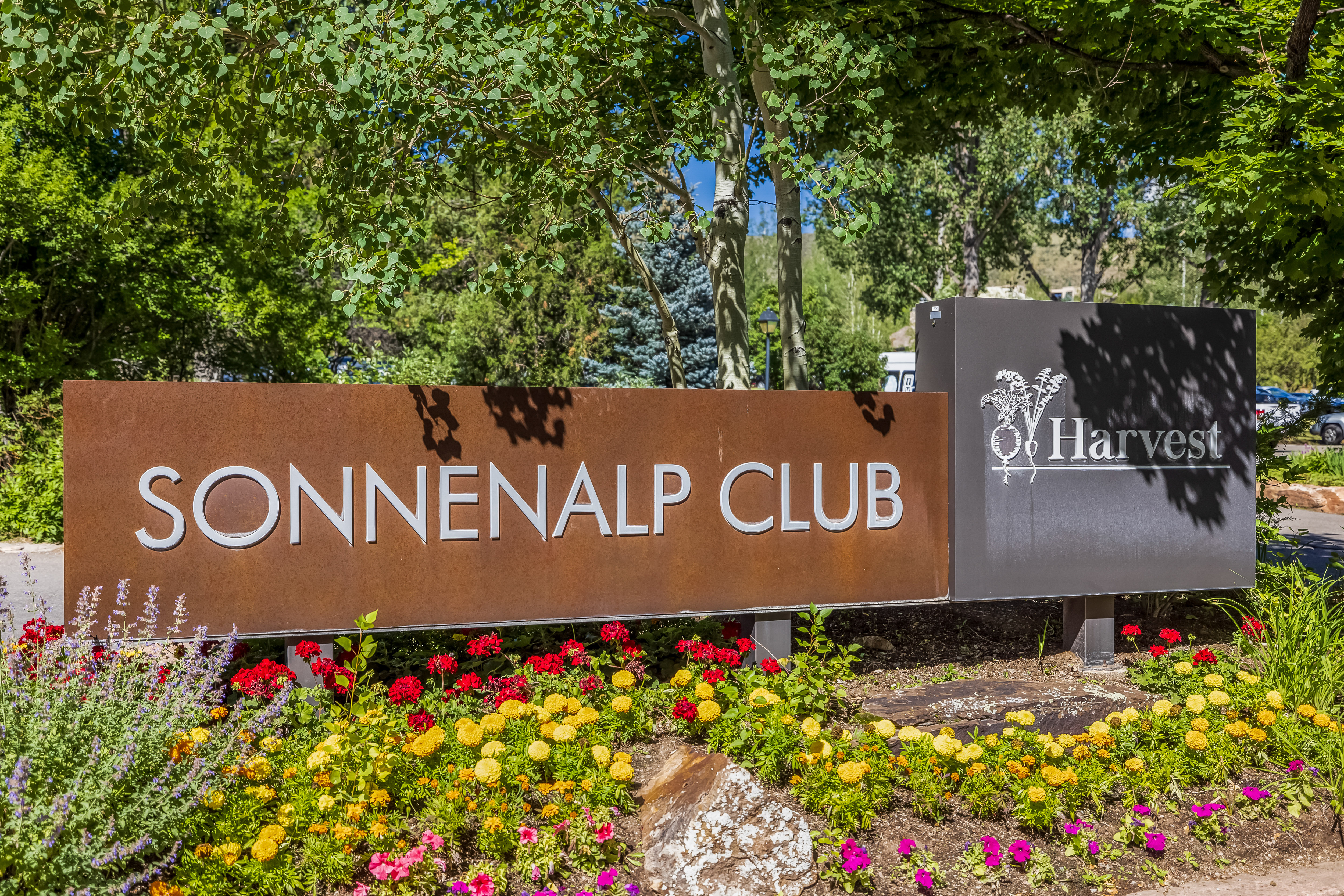  Welcome This Beautiful Condo, Just Steps from Sonnenalp Club~ - 物件實景