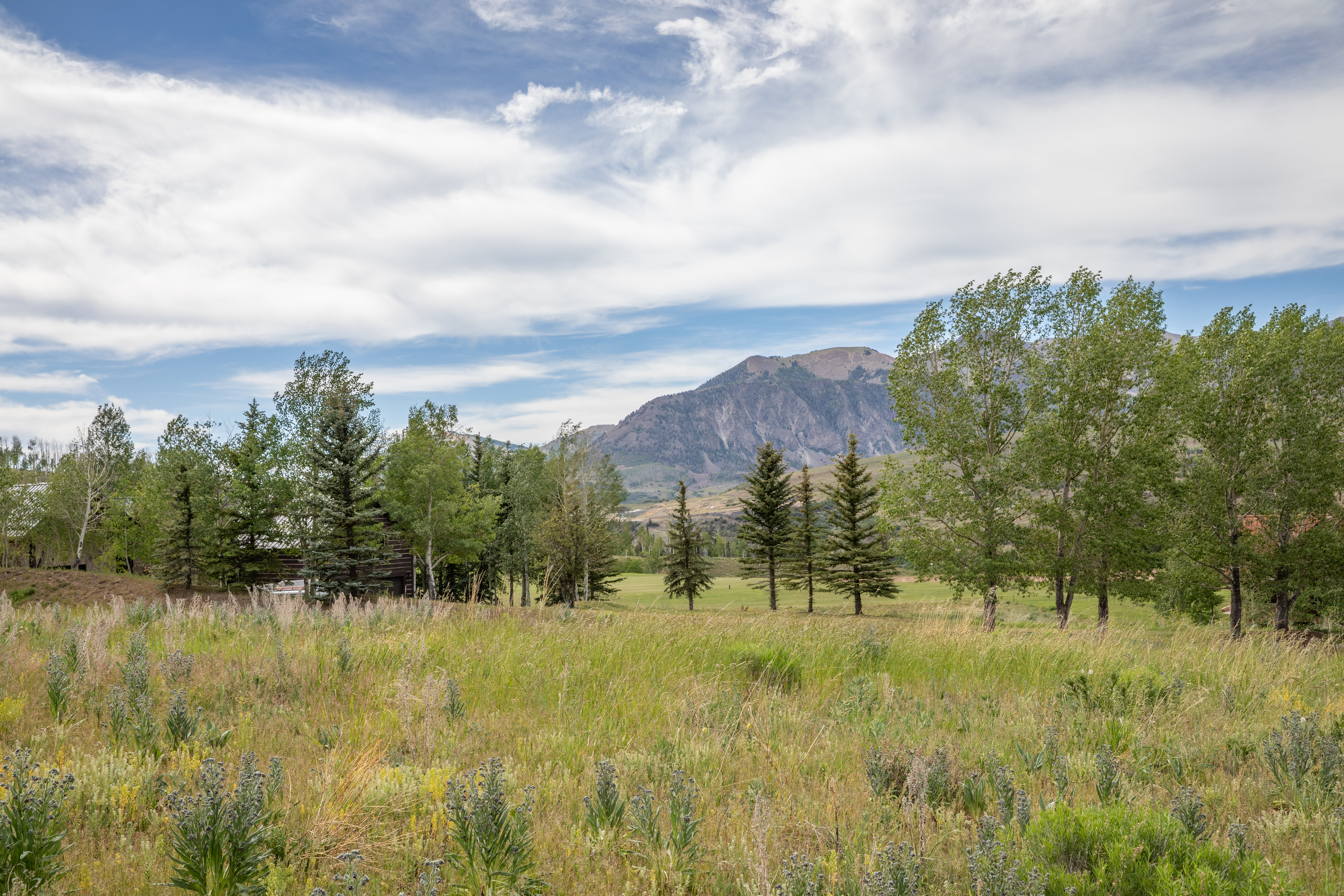  One of the Best Lots Available in Mountain Village with Breathtaking Views - 物件實景