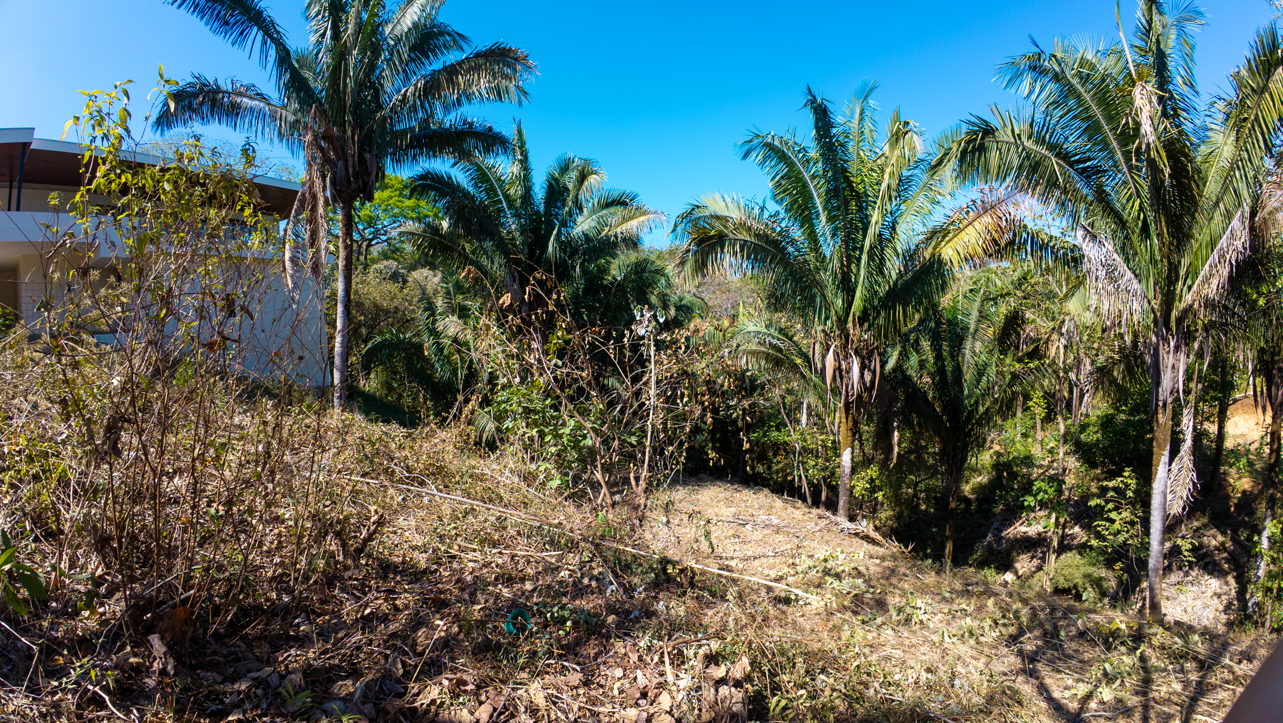 300 mt suroeste del Restaurante Dolce Vita, Espera, Nosara, Guanacaste, CR, ,Land,For Sale,300 mt suroeste del Restaurante Dolce Vita, Espera,1614754