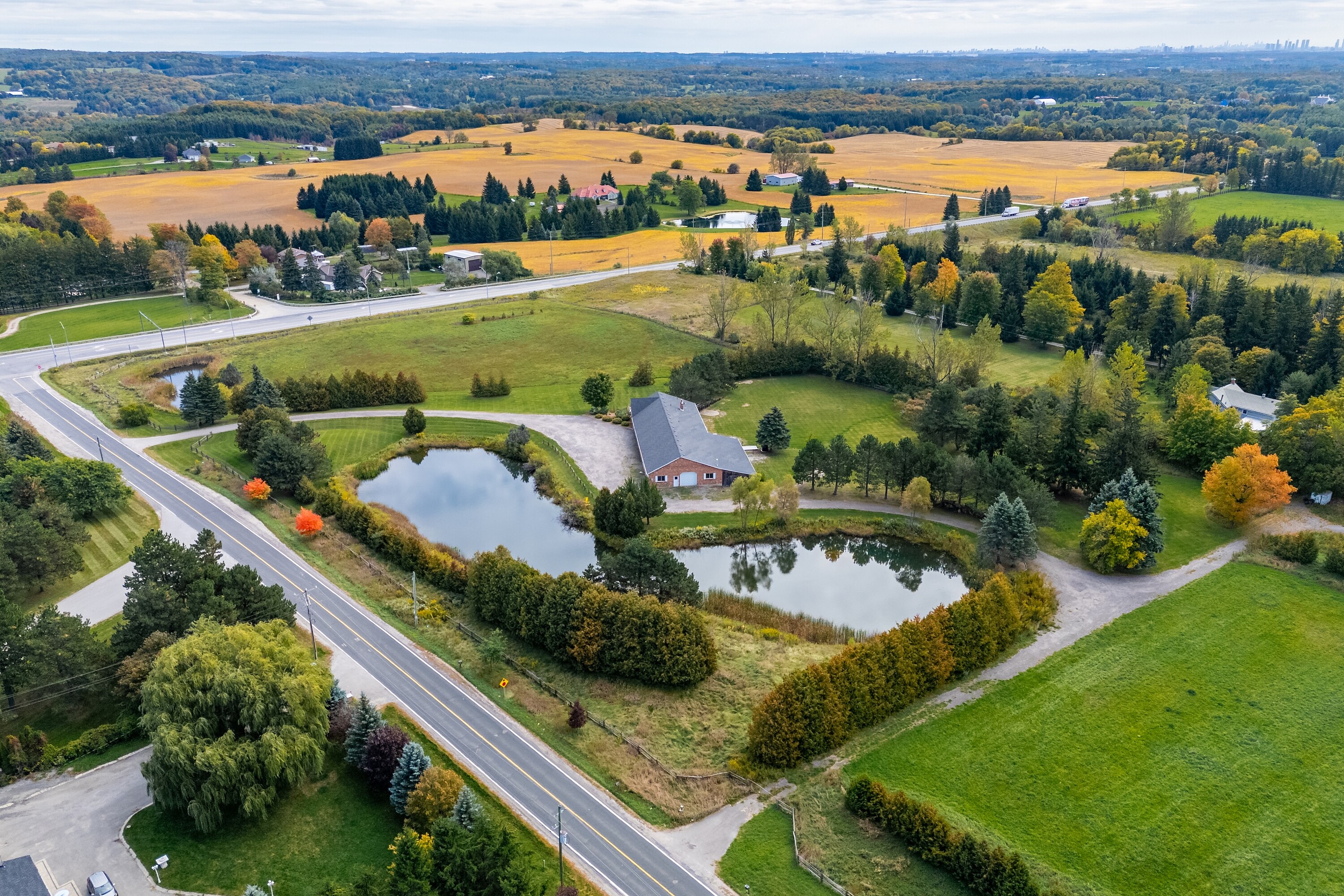  10+ Acre King Property - 物件實景