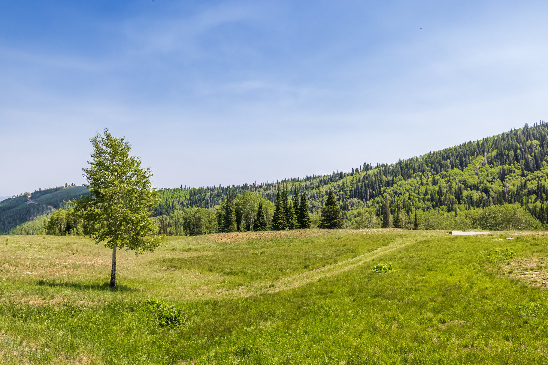  Incredible 28 Acre Estate Lot in the Colony at White Pine Canyon - 物件實景