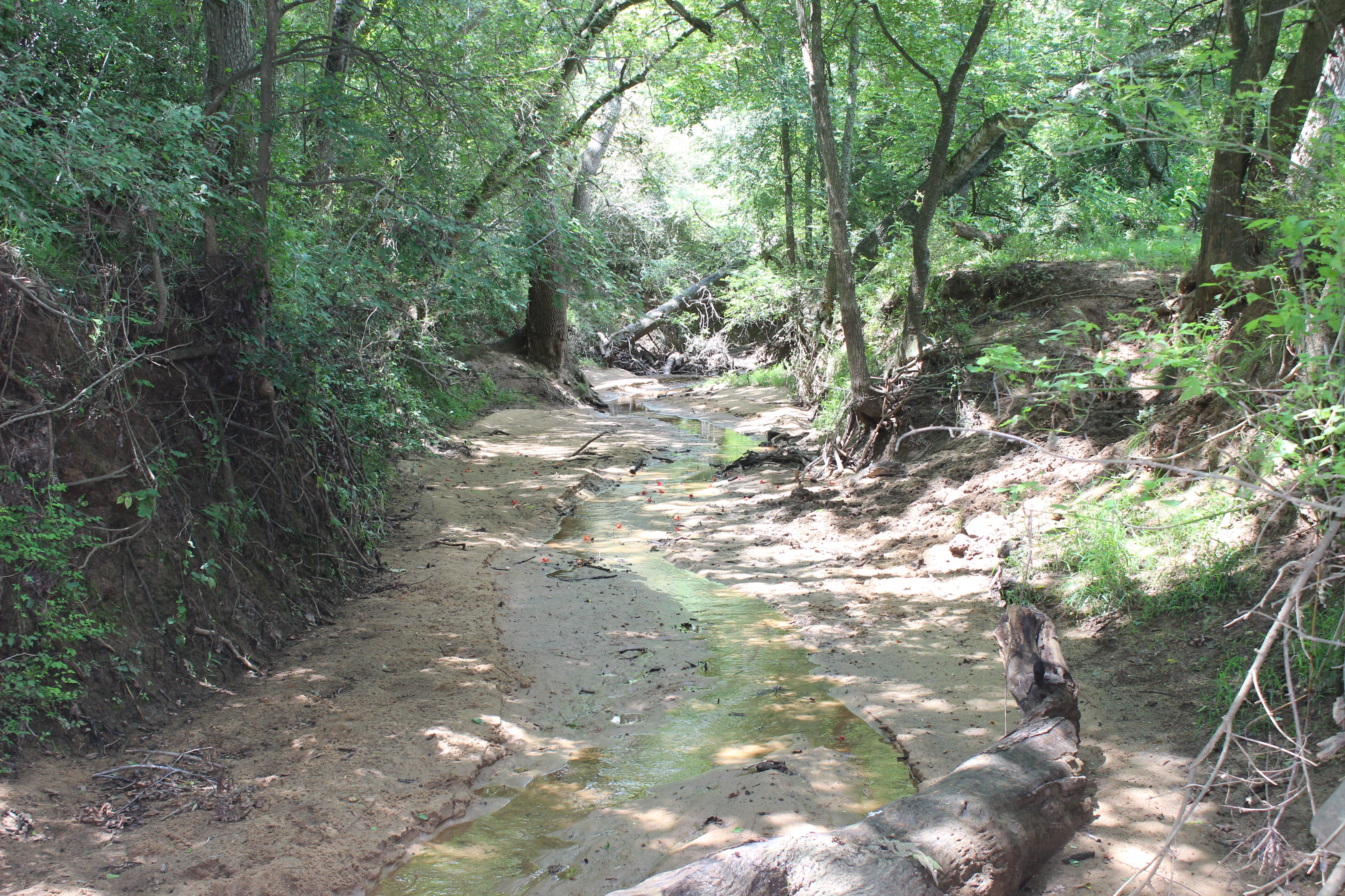  Buck Branch Ranch - 物件實景