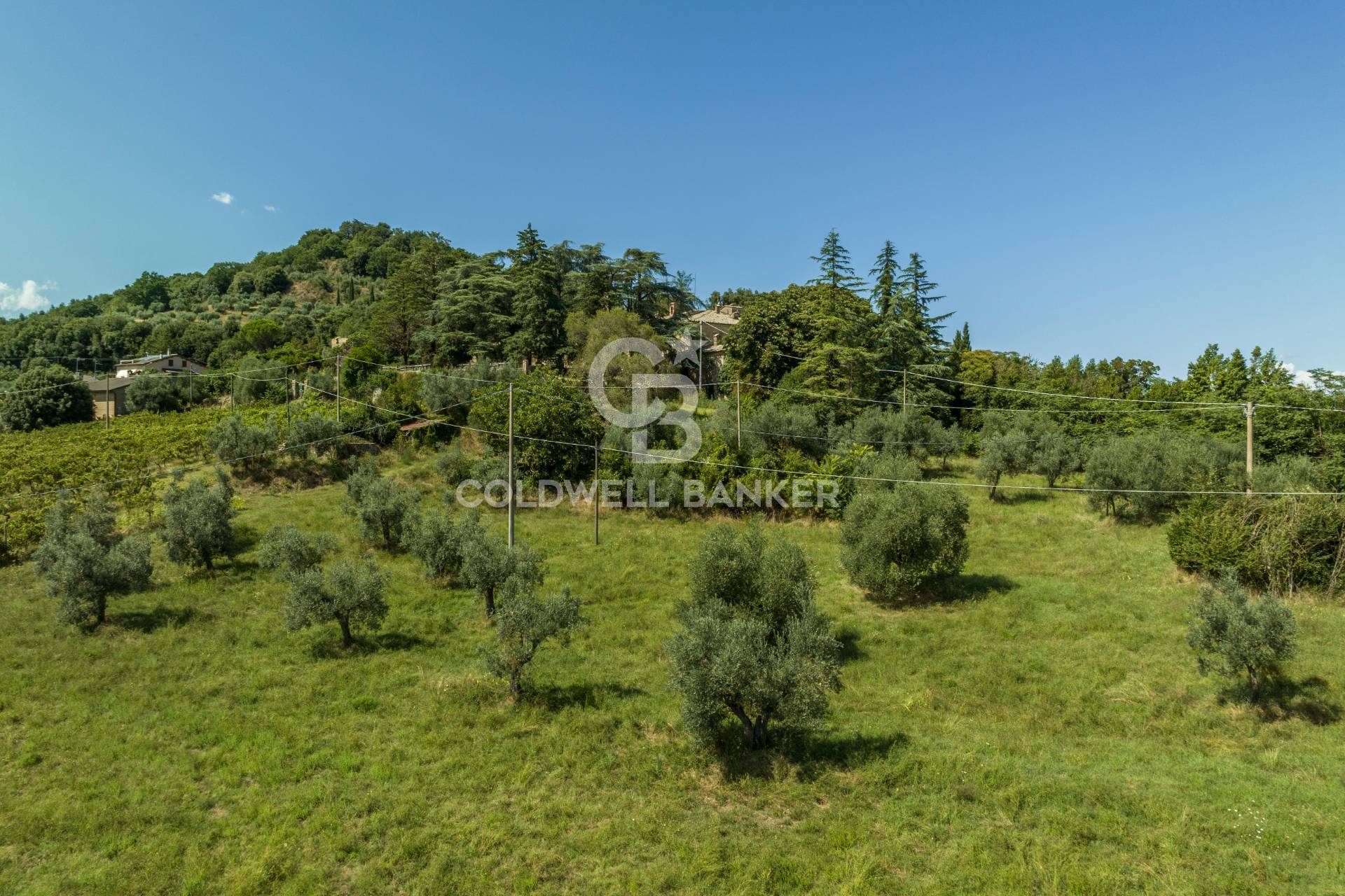 Strada Poggi, Orvieto, Terni, 05018, IT, 20 Bedrooms Bedrooms, ,10 BathroomsBathrooms,Residential,For Sale,Strada Poggi,1668933