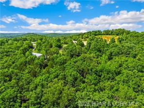 Sunrise Beach, Missouri, 65079, United States, ,Land,For Sale,1896166