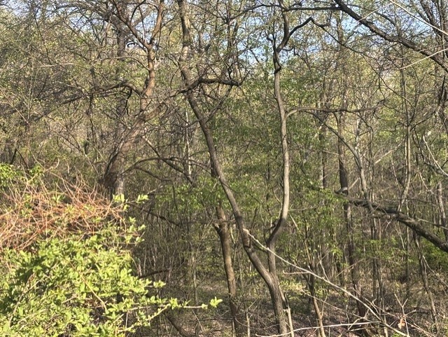 Penn Twp - BUT, Pennsylvania, 16002, United States, ,Residential,For Sale,1794987