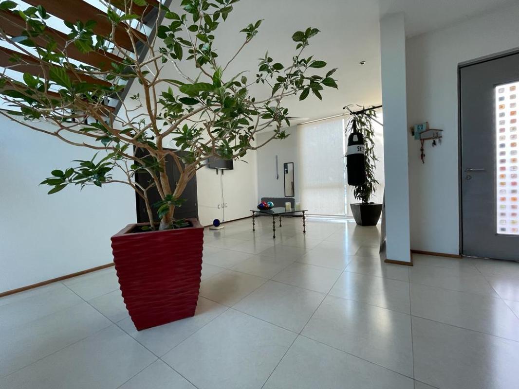 Zacatecas, Cuernavaca, Morelos, 62290, Mexico, 3 Bedrooms Bedrooms, ,4 BathroomsBathrooms,Residential,For Sale,Zacatecas,1617384