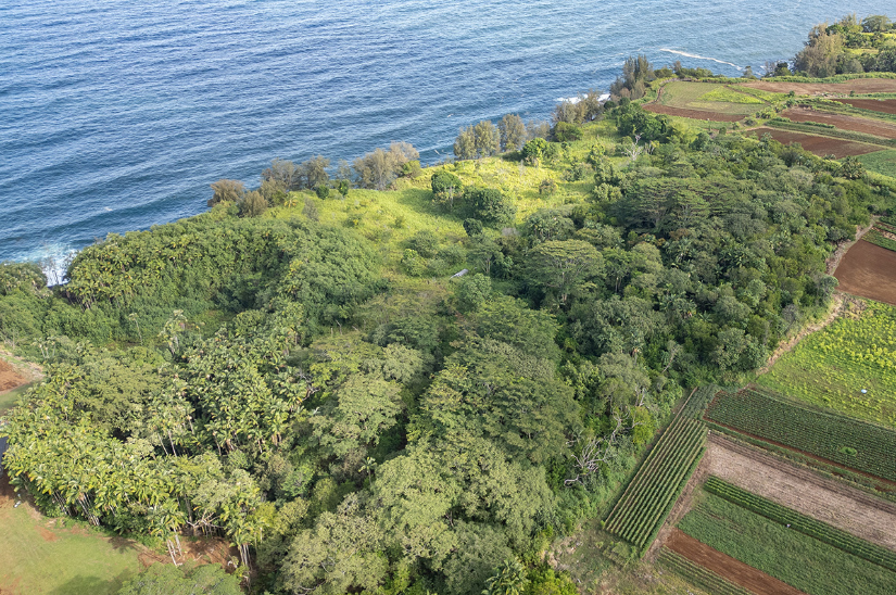 Pepeekeo, Hawaii, 96783, United States, ,Land,For Sale,1978999