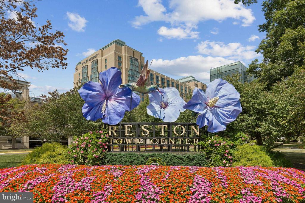 Reston, Virginia, 20191, United States, 3 Bedrooms Bedrooms, ,3 BathroomsBathrooms,Residential,For Sale,1978465