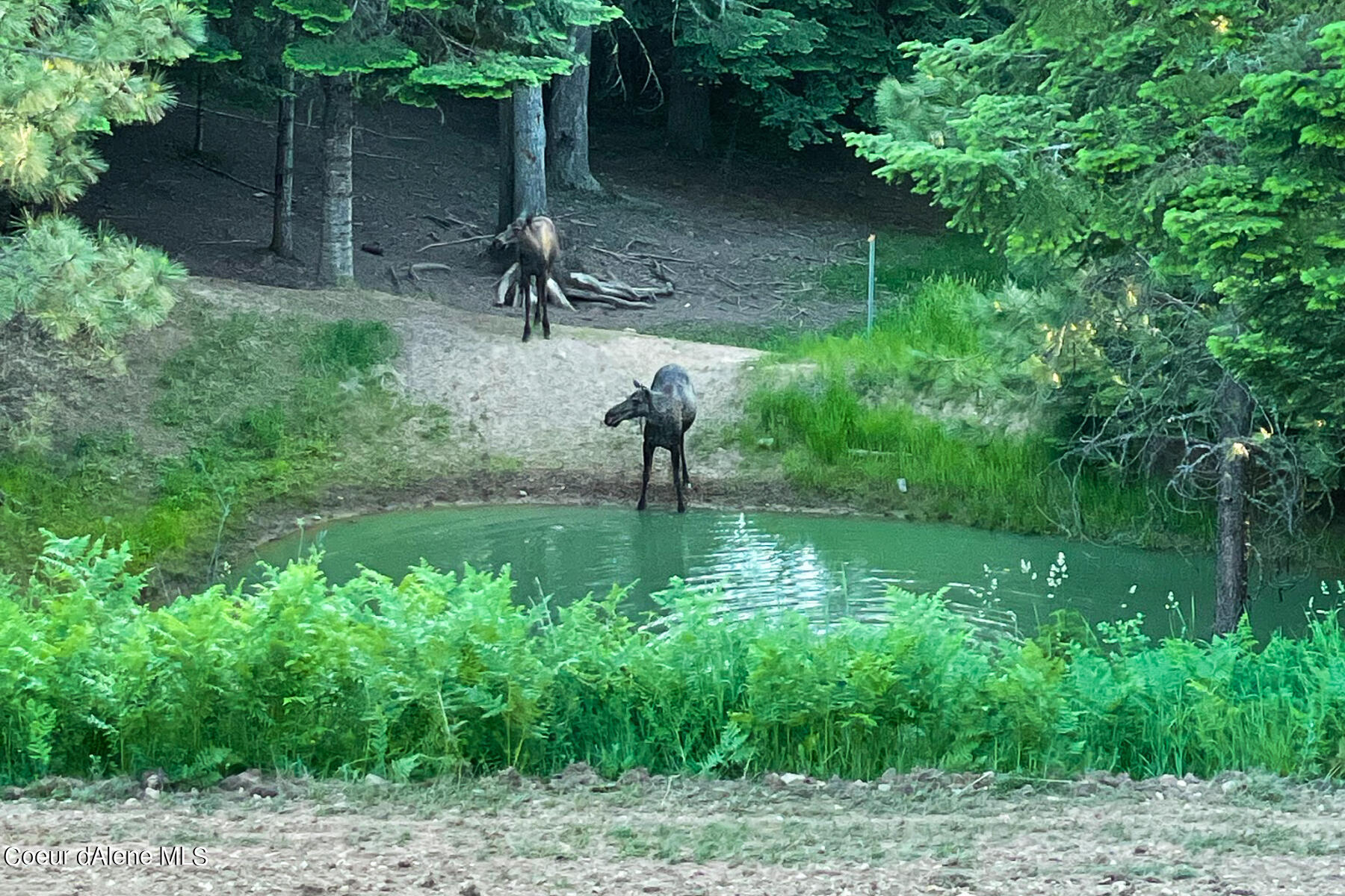 Coeur d'Alene, Idaho, 83814, United States, 4 Bedrooms Bedrooms, ,3 BathroomsBathrooms,Residential,For Sale,1974008