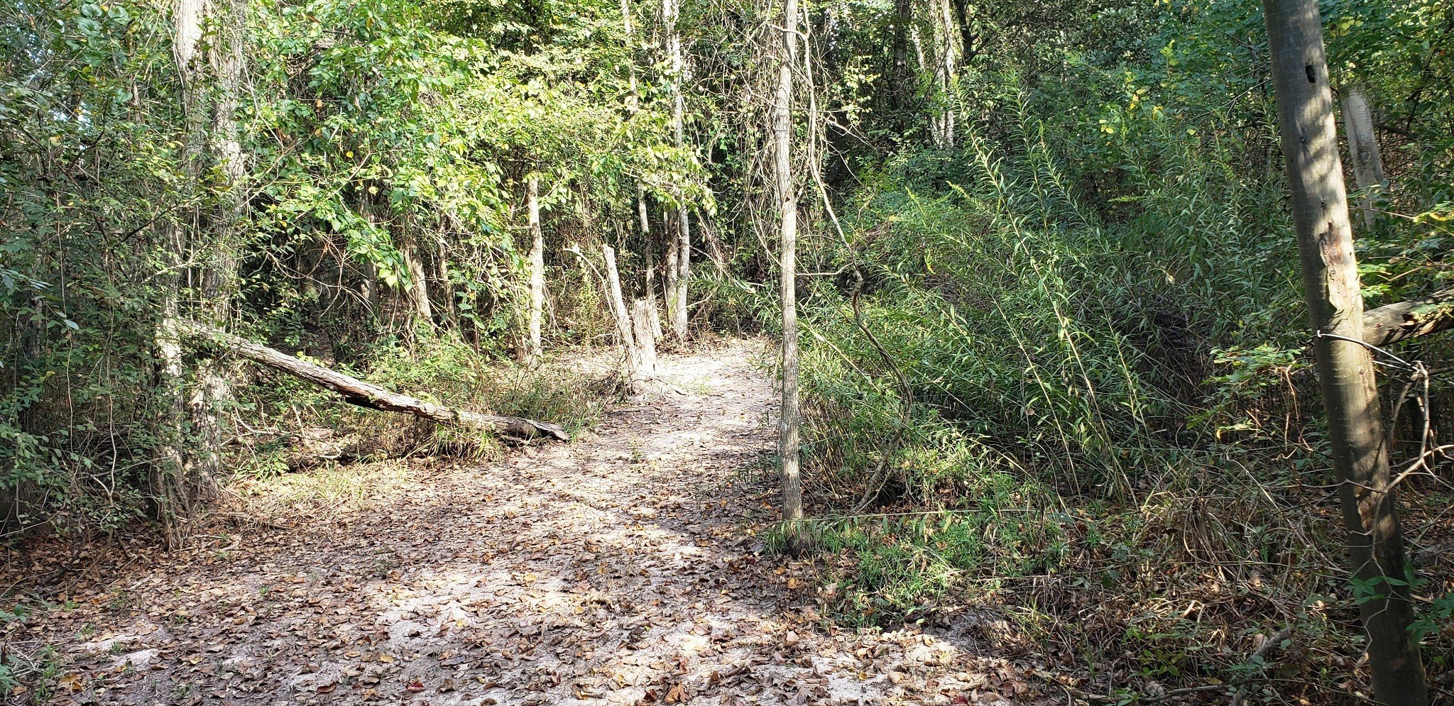 Hockley, Texas, 77447, United States, 2 Bedrooms Bedrooms, ,1 BathroomBathrooms,Residential,For Sale,1974890