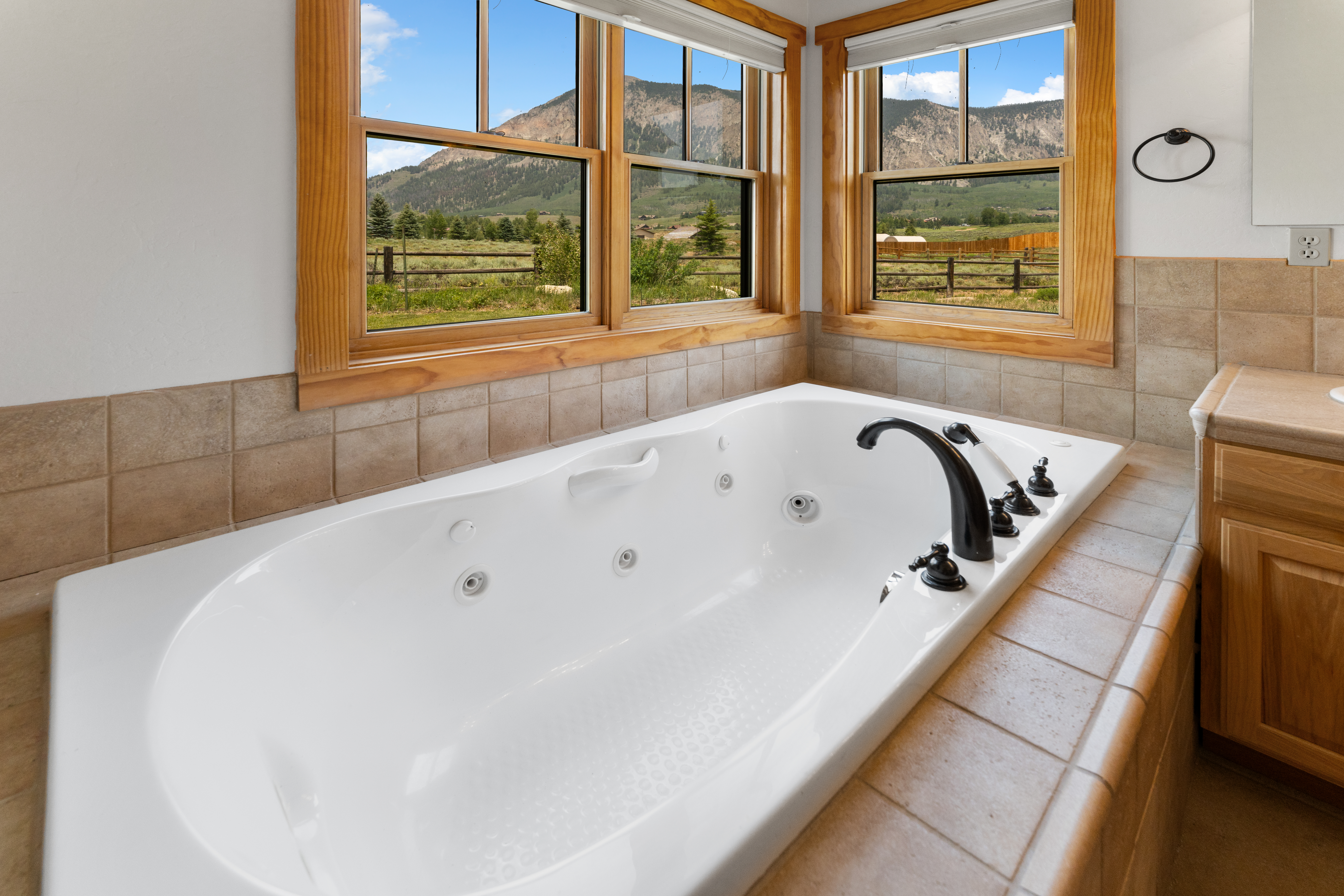  One of the most Spectacular View Corridors in the Crested Butte Area - 物件實景