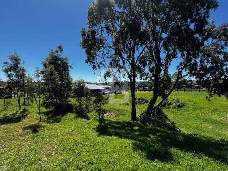 Puerto Varas, Chile, 4 Bedrooms Bedrooms, ,4 BathroomsBathrooms,Residential,For Sale,1991367