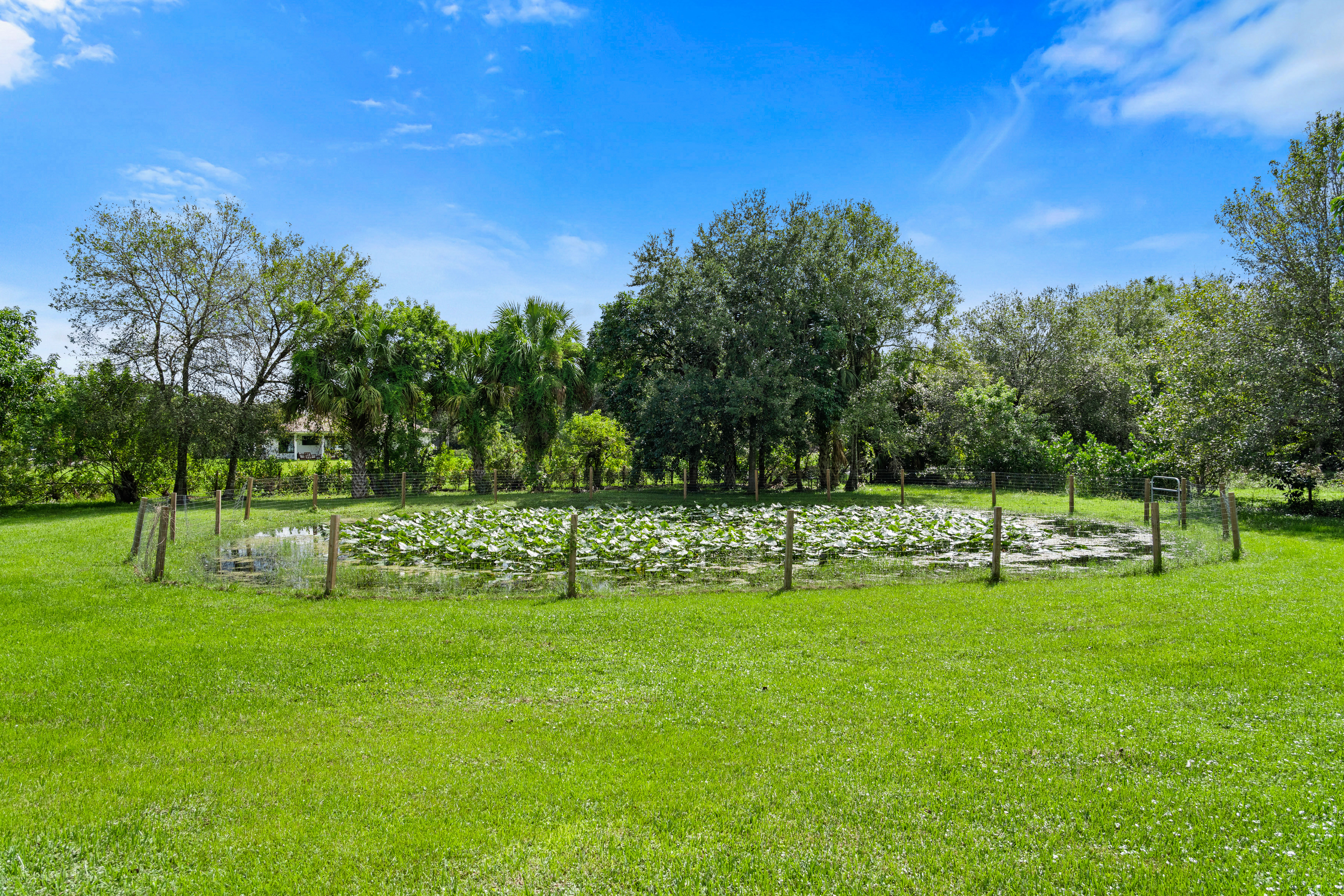  15338 97th Drive N, Jupiter, FL, 33478 - 物件實景