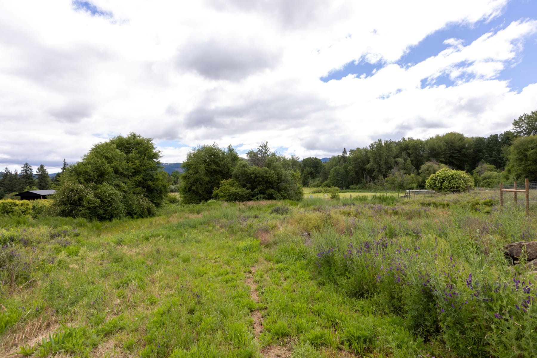  6455 TROUT CREEK RIDGE RD Mt Hood Prkdl, OR 97041 - 物件實景