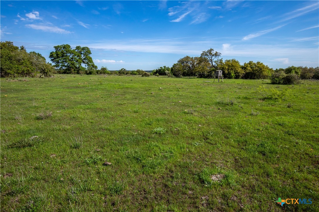 San Marcos, Texas, 78666, United States, ,Land,For Sale,1990898