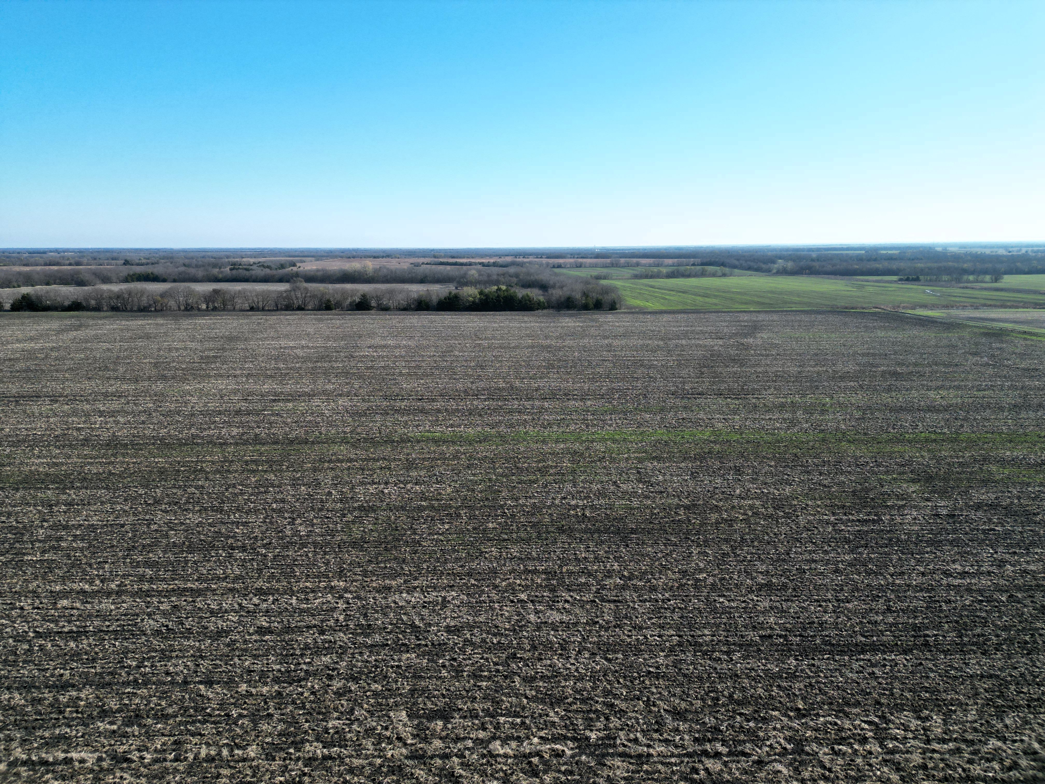 Commerce, Texas, 75428, United States, ,Land,For Sale,2001483