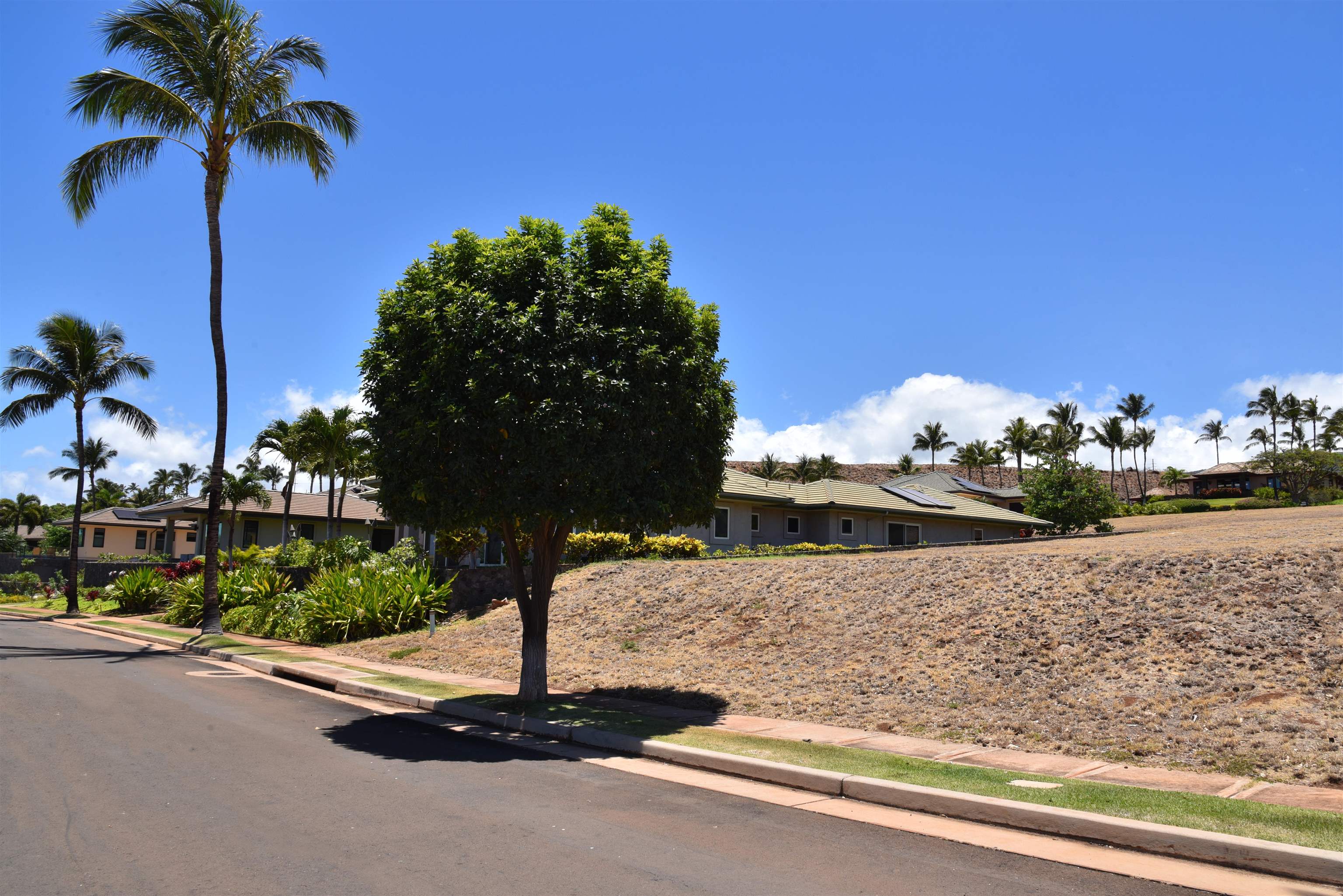 Lahaina, Hawaii, 96761-8774, United States, ,Land,For Sale,1883155