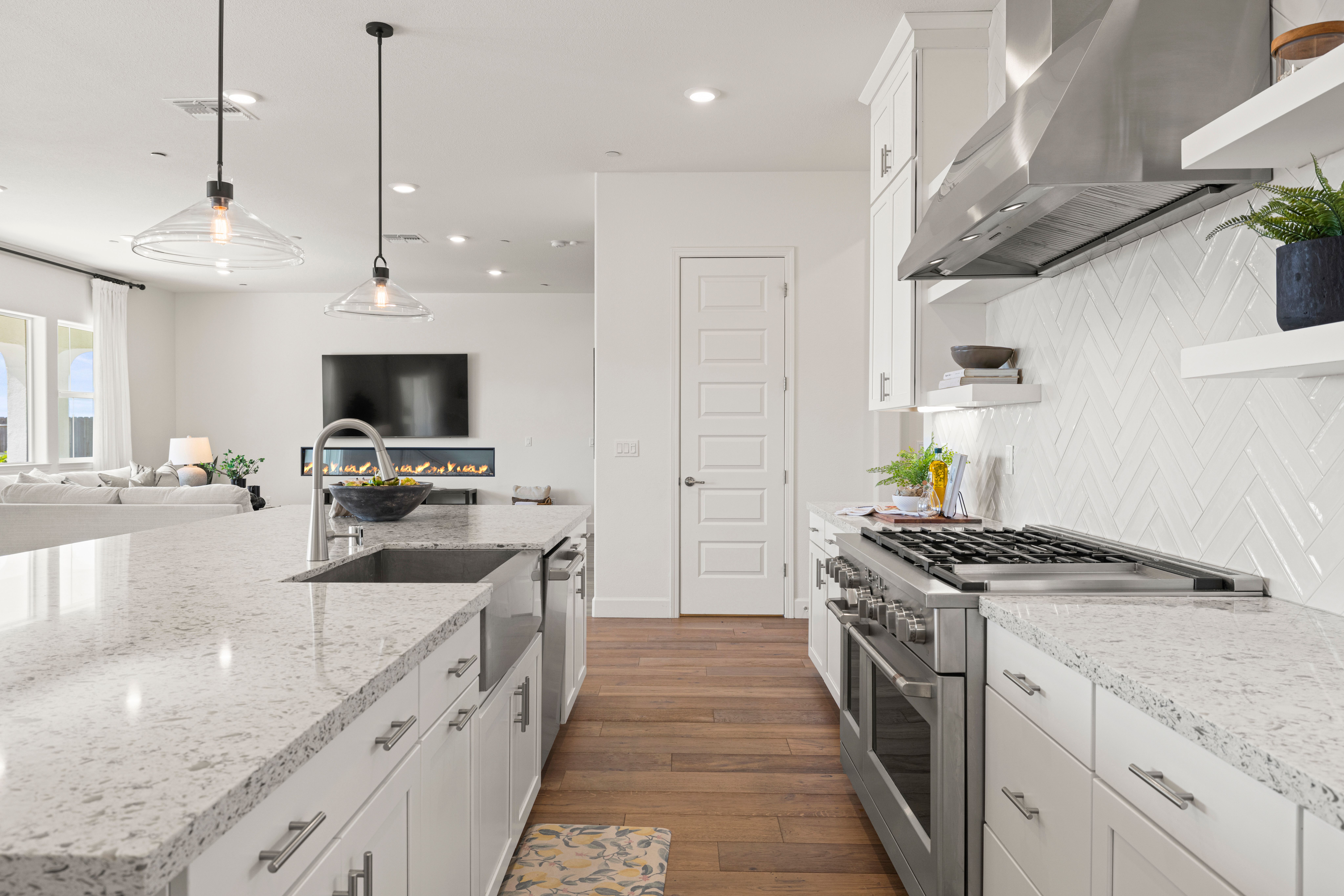  4729 Iron Bird Drive, Folsom, CA 95630 - 物件實景
