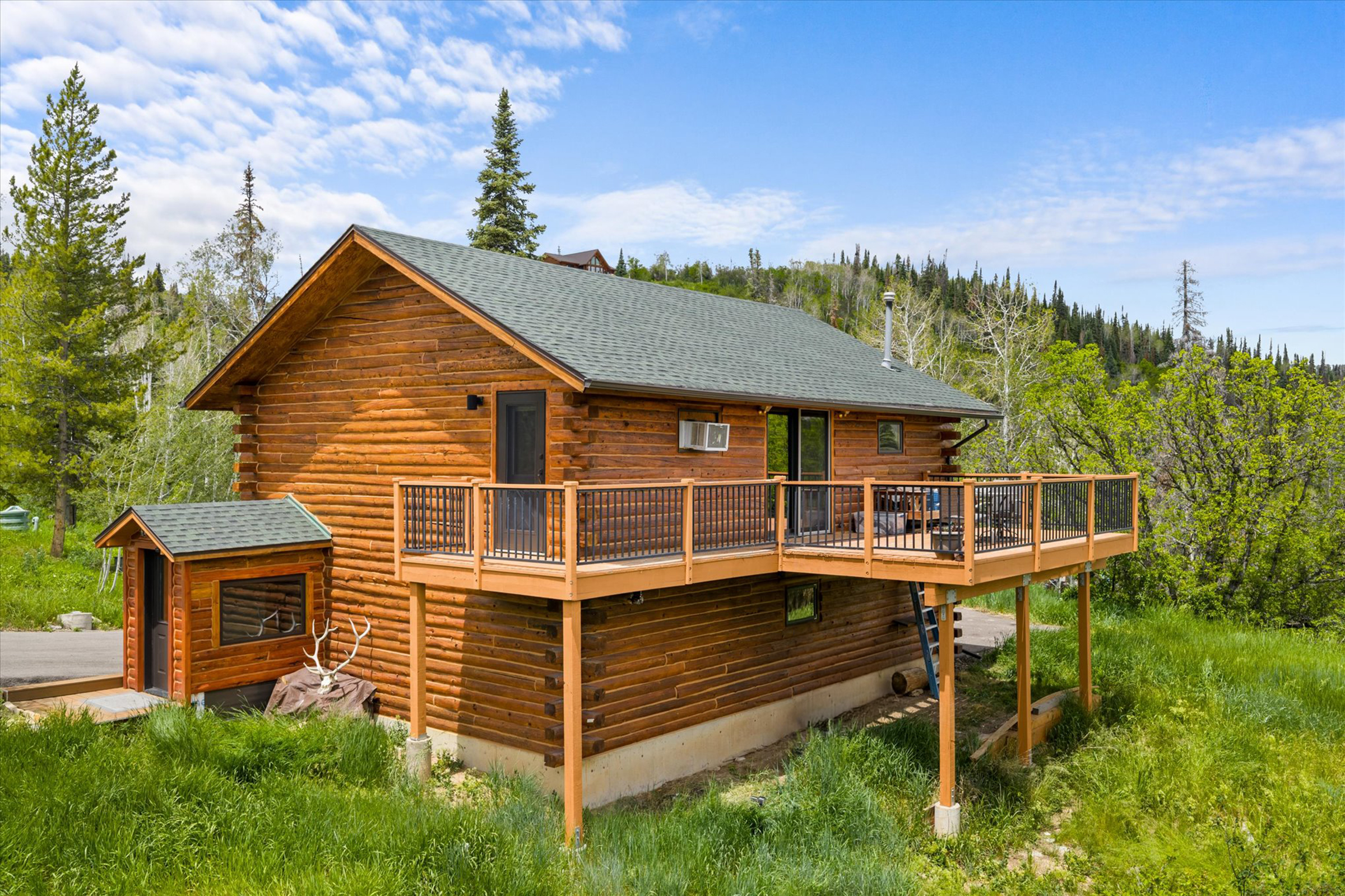  30232 Bear Trail, Steamboat Springs, CO 80487 - 物件實景