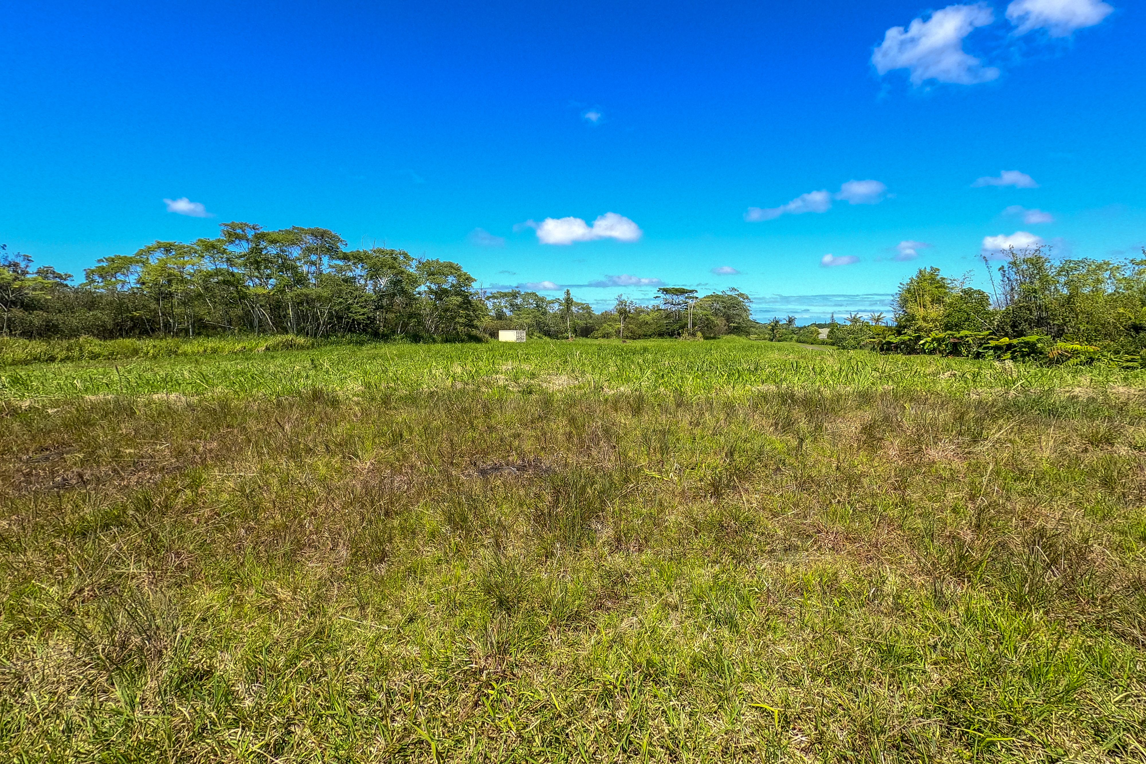  17-820 Manaolana Road, Kurtistown, HI, 96760 - 物件實景