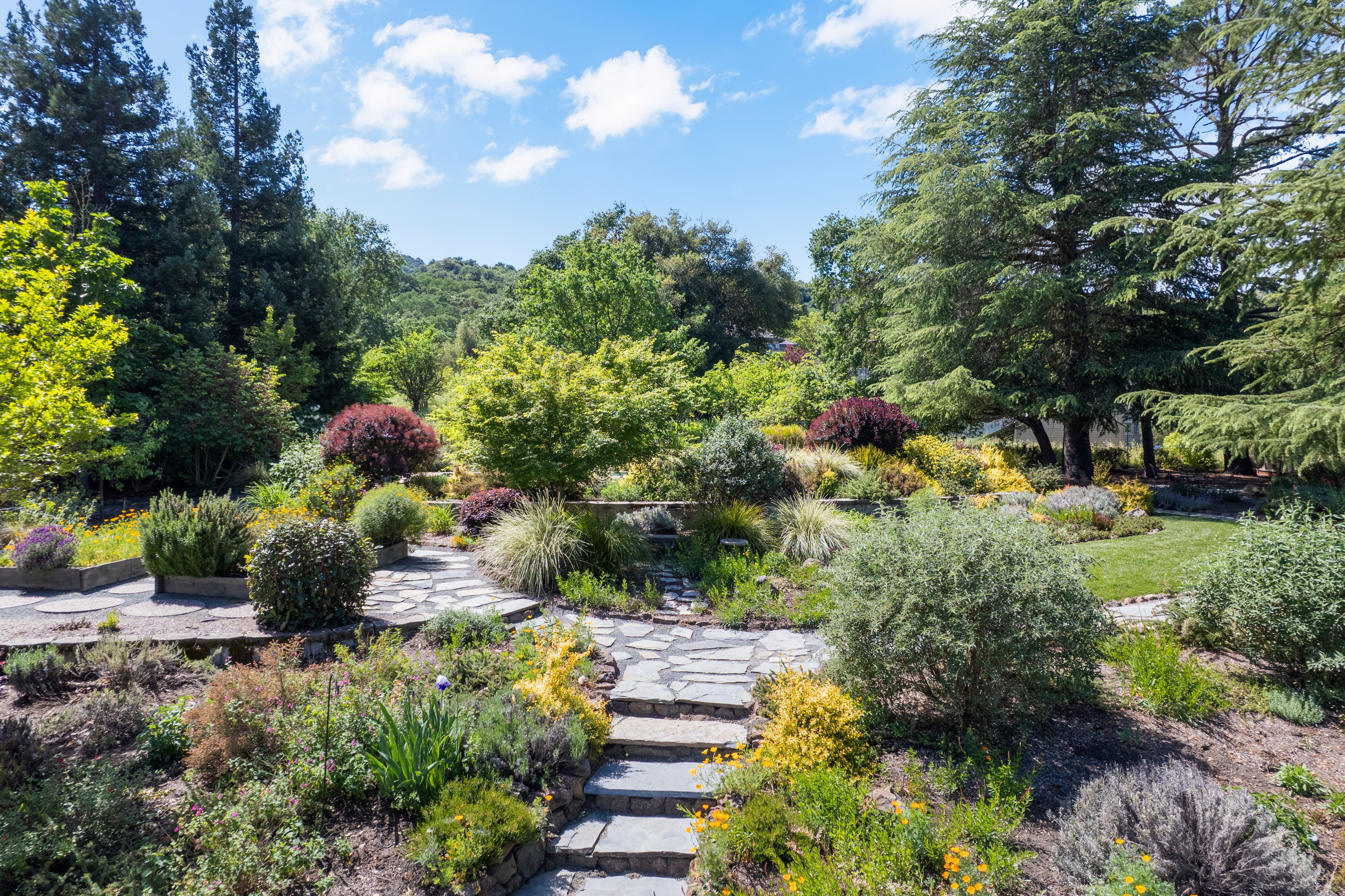  Grand Westside Danville Estate on Rare 0.60± Acre  Masterfully Reimagined - 物件實景