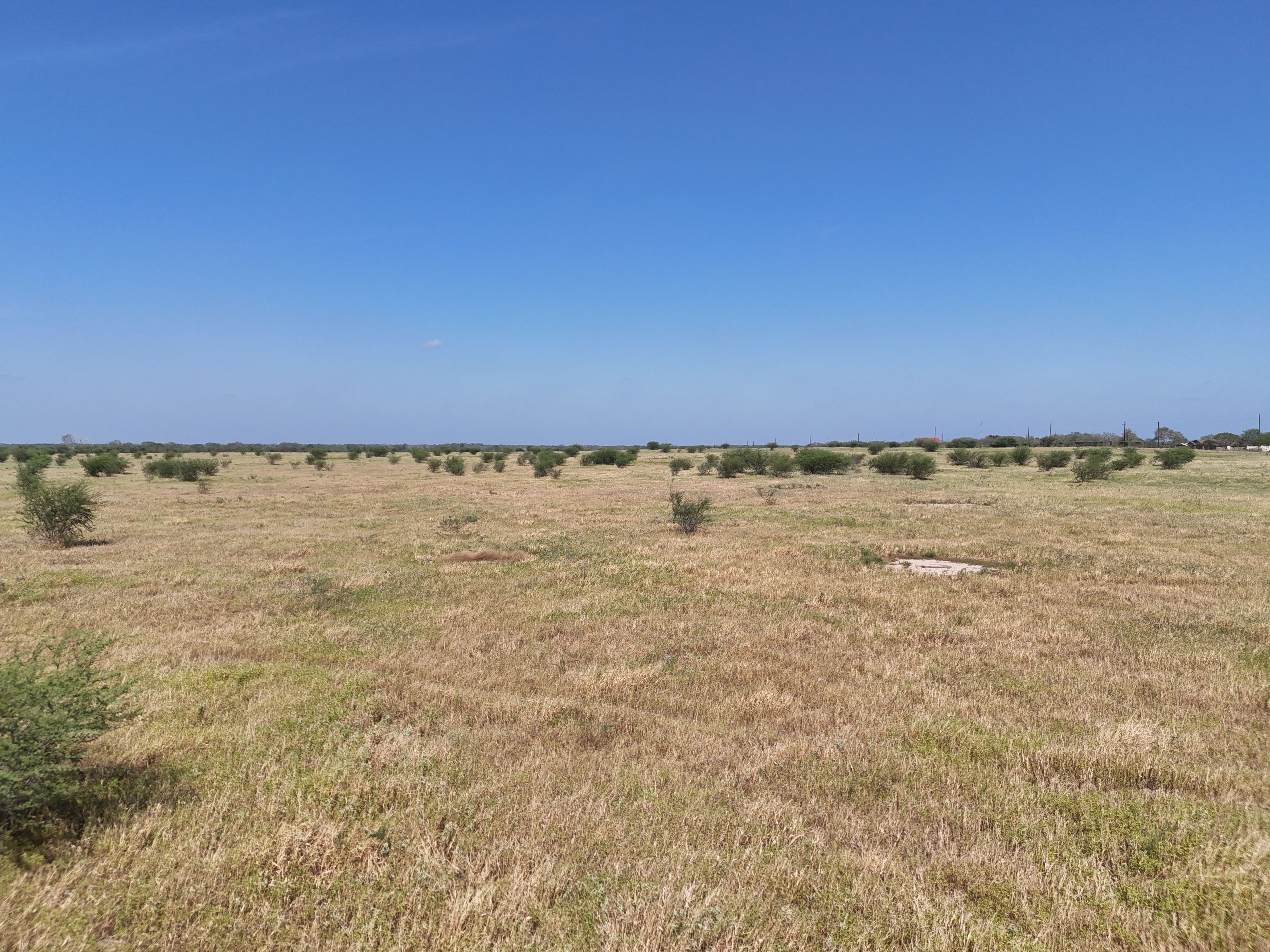  976+/- Acres - San Andreas Creek Ranch - 物件實景