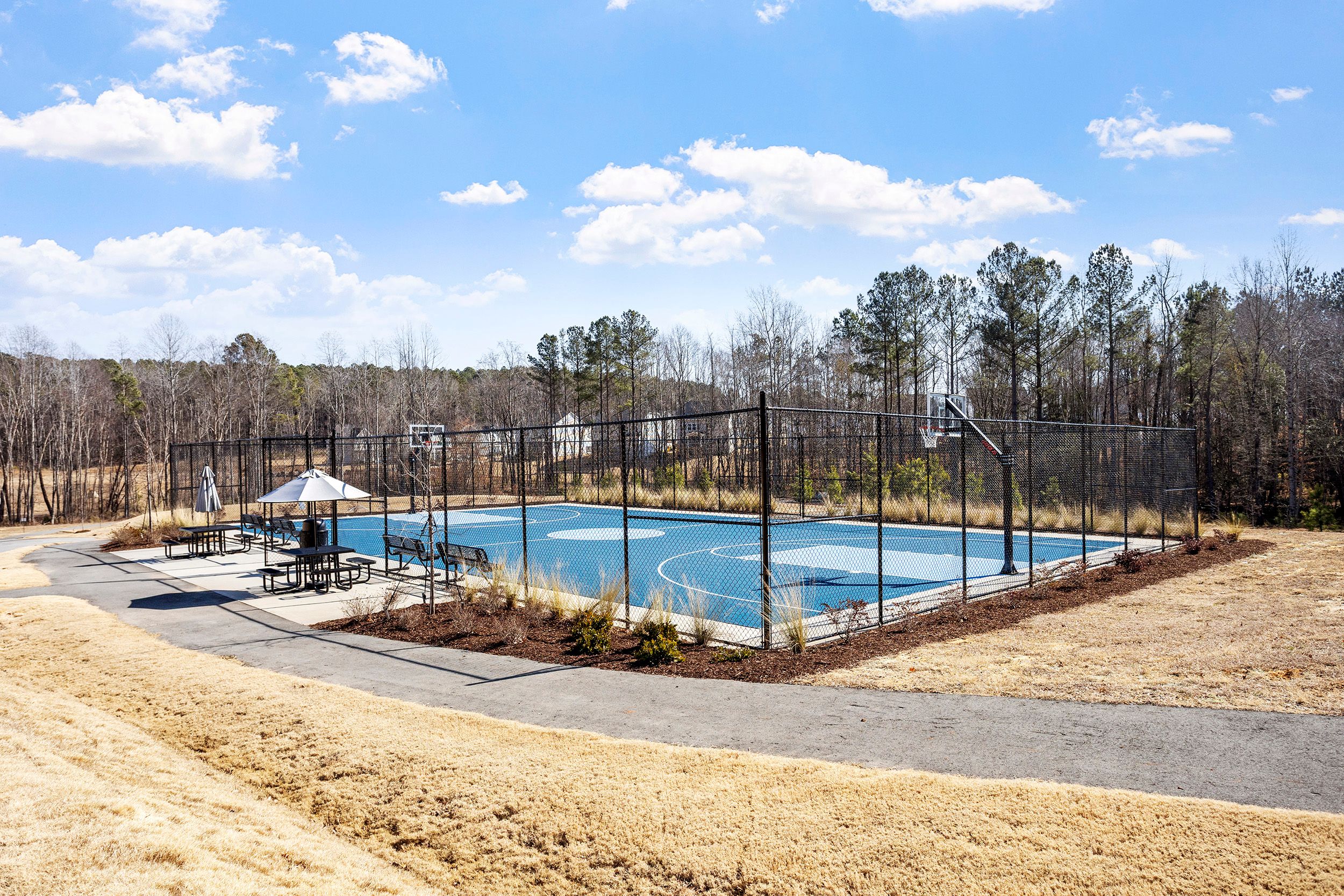  156 Sweet Lilac Way, Raleigh, NC 27610 - 物件實景