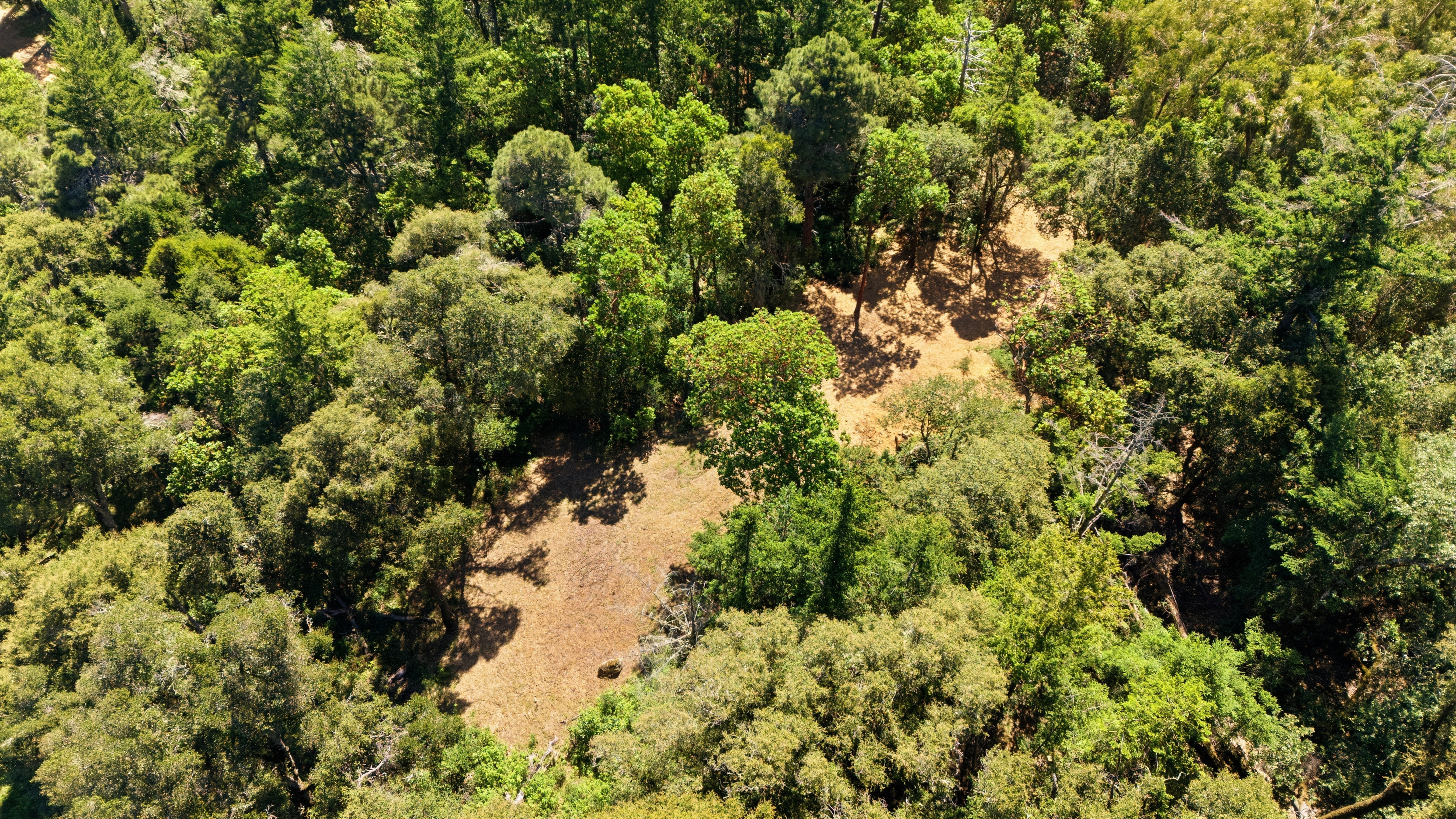  Exceptional Five-Acre Estate Opportunity with Bay Area Views - 物件實景