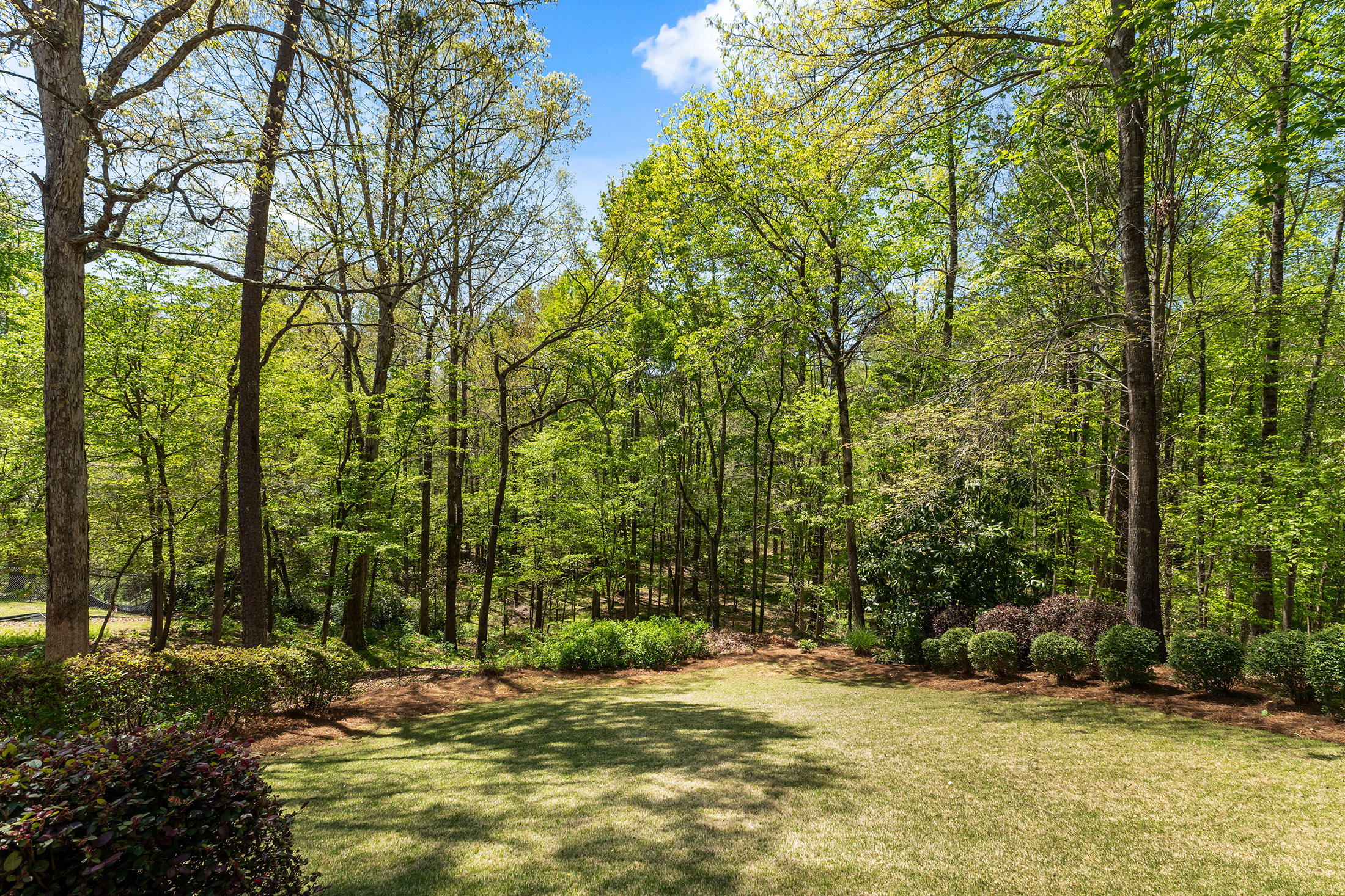  Tucked Among Mature Hardwoods on a Private 1.25+/- Acre River Lot - 物件實景