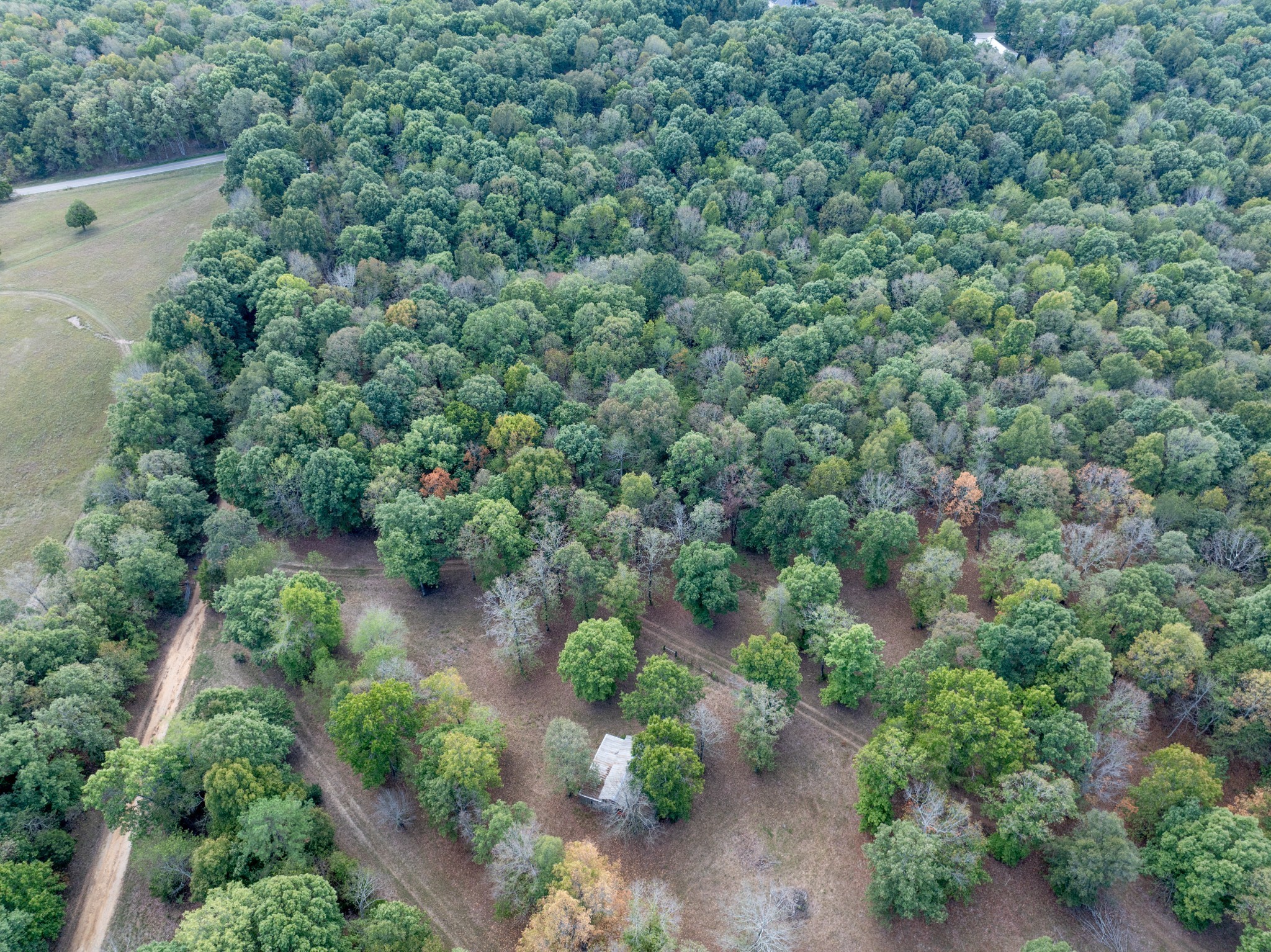 Mc Ewen, Tennessee, 37101, United States, ,Residential,For Sale,1923664