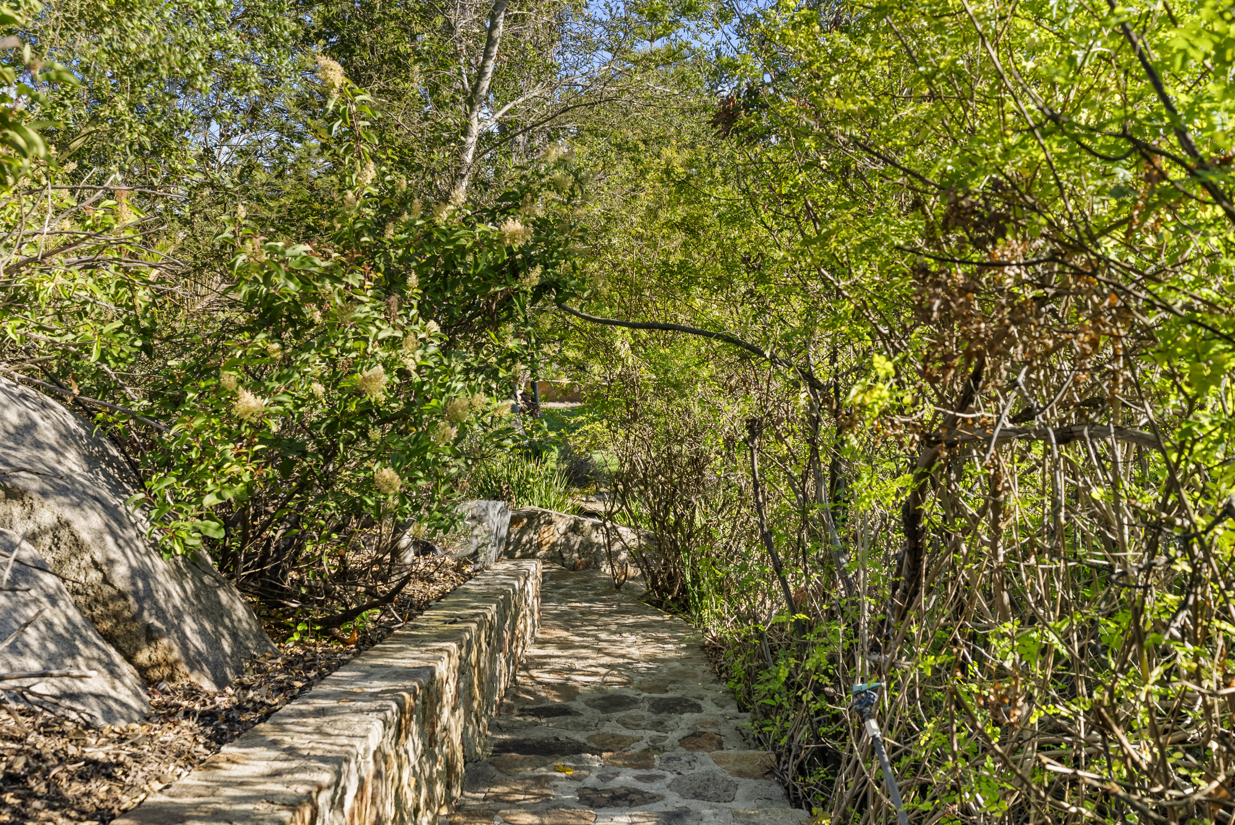  28889 Anderson Court, Escondido, CA 92026 - 物件實景