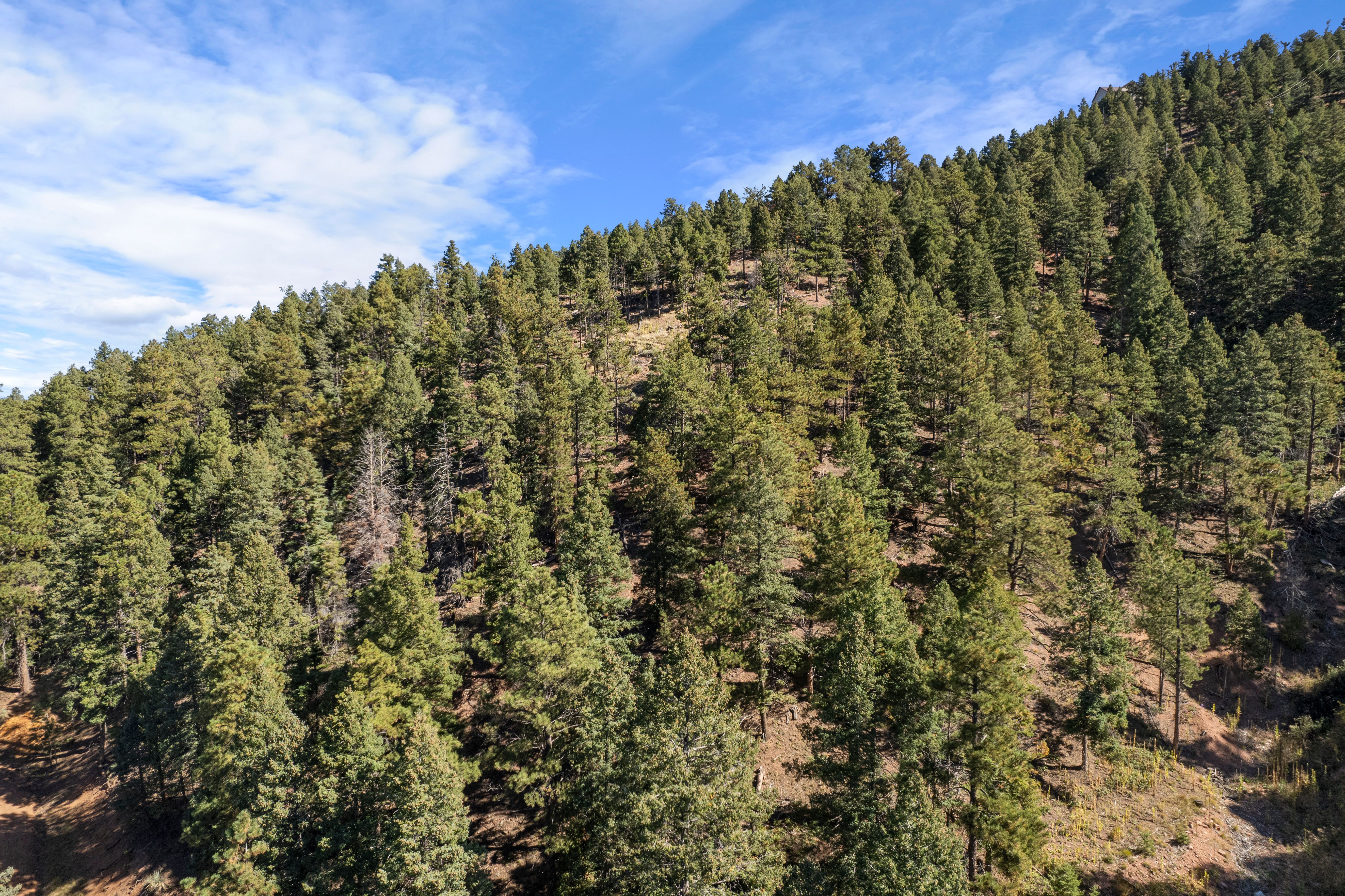  Nestled in the serene Woodmoor Mountain - 物件實景
