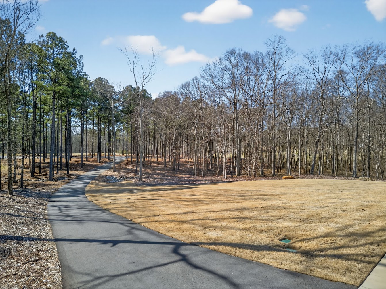 Carrollton, Georgia, 30117, United States, 4 Bedrooms Bedrooms, ,5 BathroomsBathrooms,Residential,For Sale,2015350