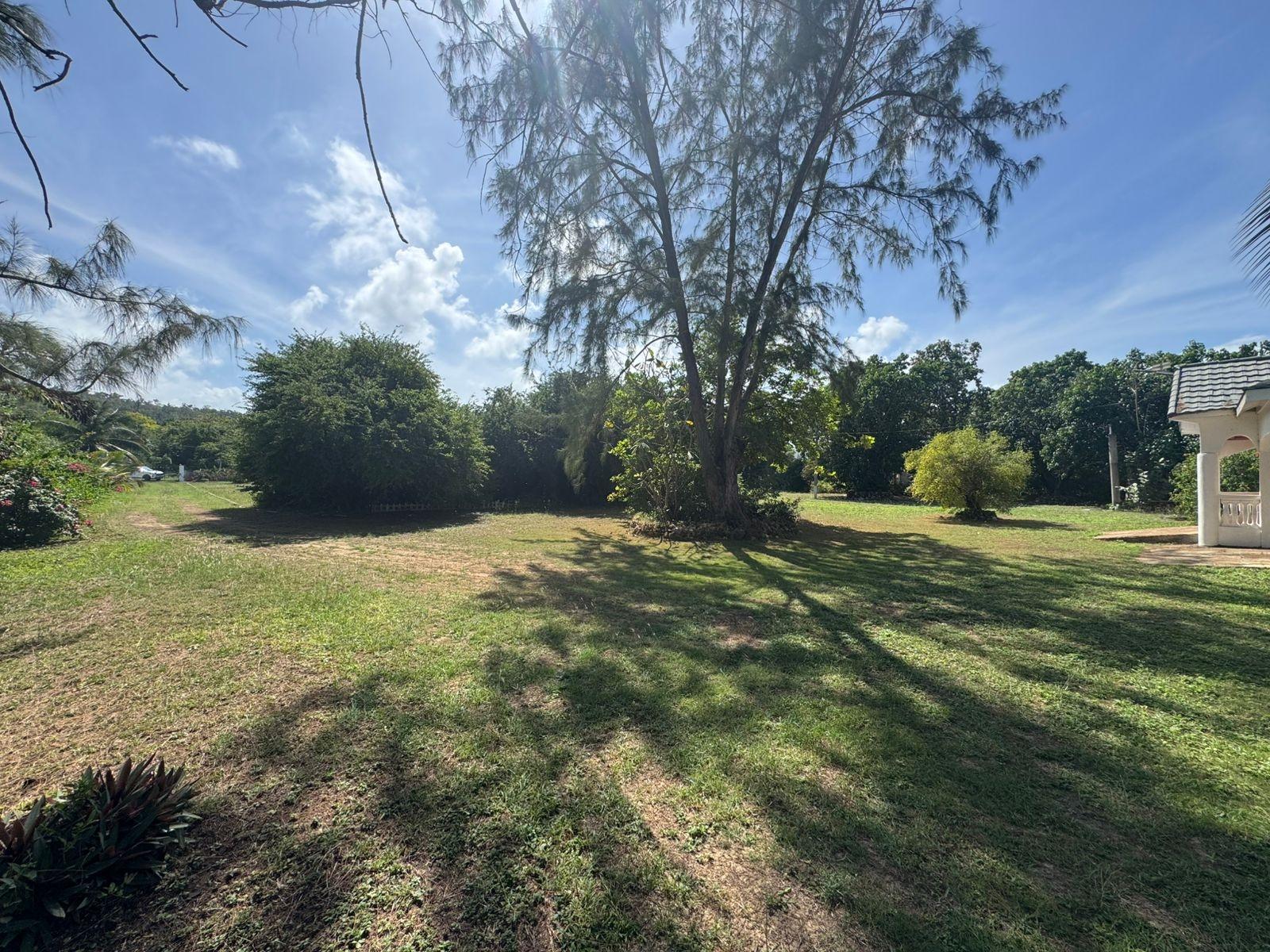 St. Ann, JM, 6 Bedrooms Bedrooms, ,8 BathroomsBathrooms,Residential,For Sale,1836886