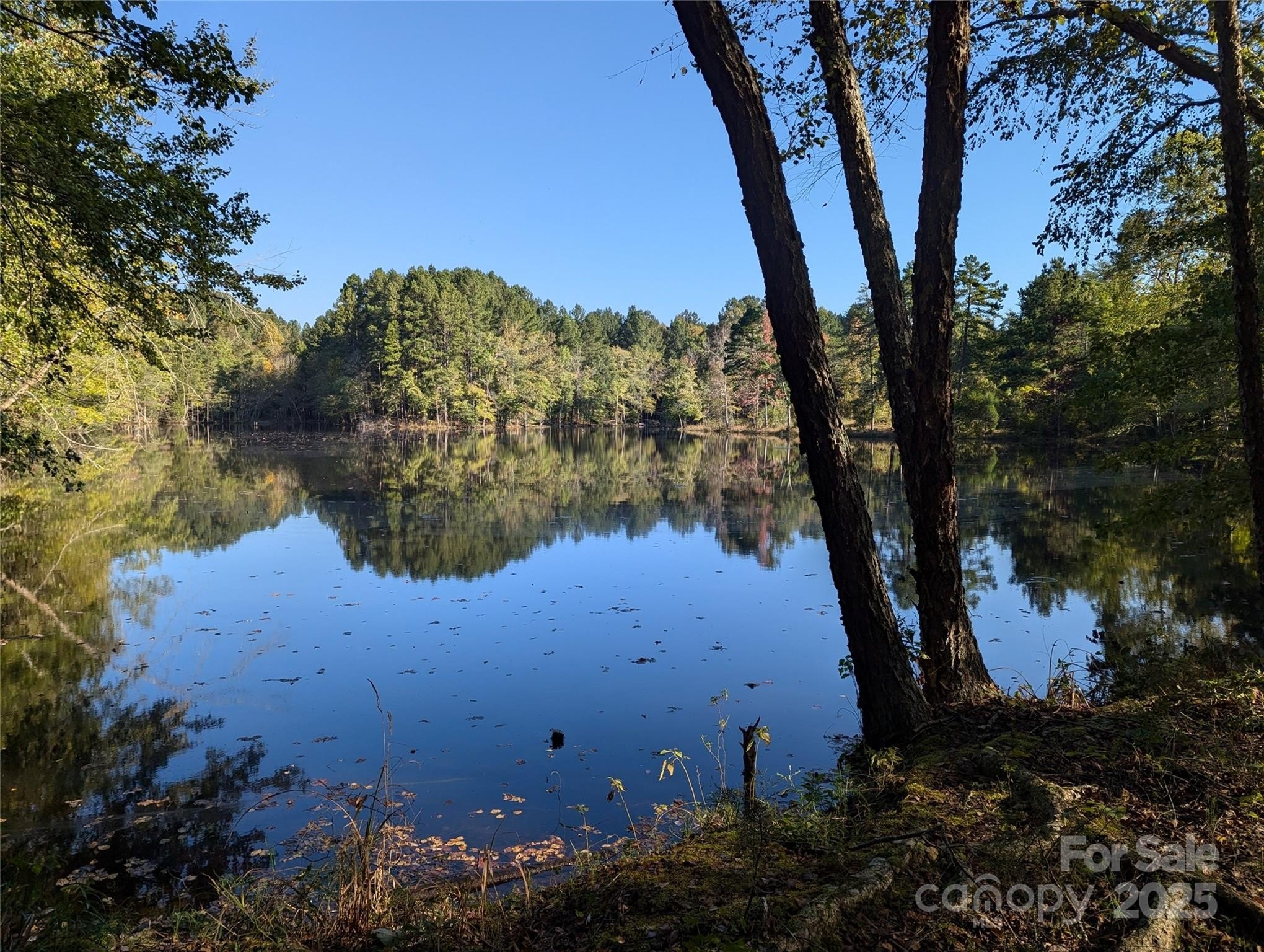Salisbury, North Carolina, 28146, United States, 4 Bedrooms Bedrooms, ,3 BathroomsBathrooms,Residential,For Sale,1984166