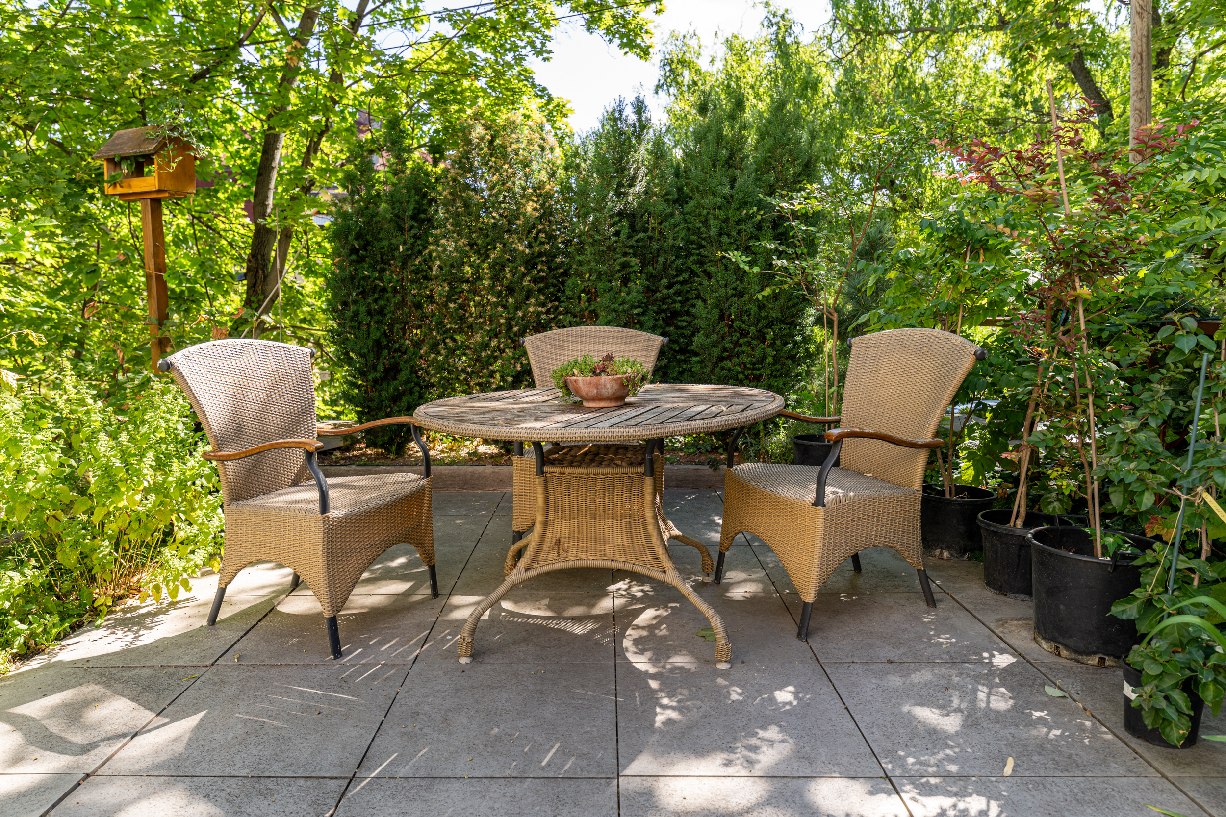 Timeless Villa Estate in the Heart of Buda - 物件實景