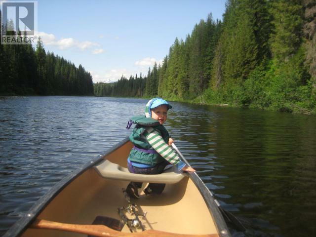 WELLS GRAY, British Columbia, V0E 1N1, CA, 1 Bedroom Bedrooms, ,1 BathroomBathrooms,Residential,For Sale,1838822