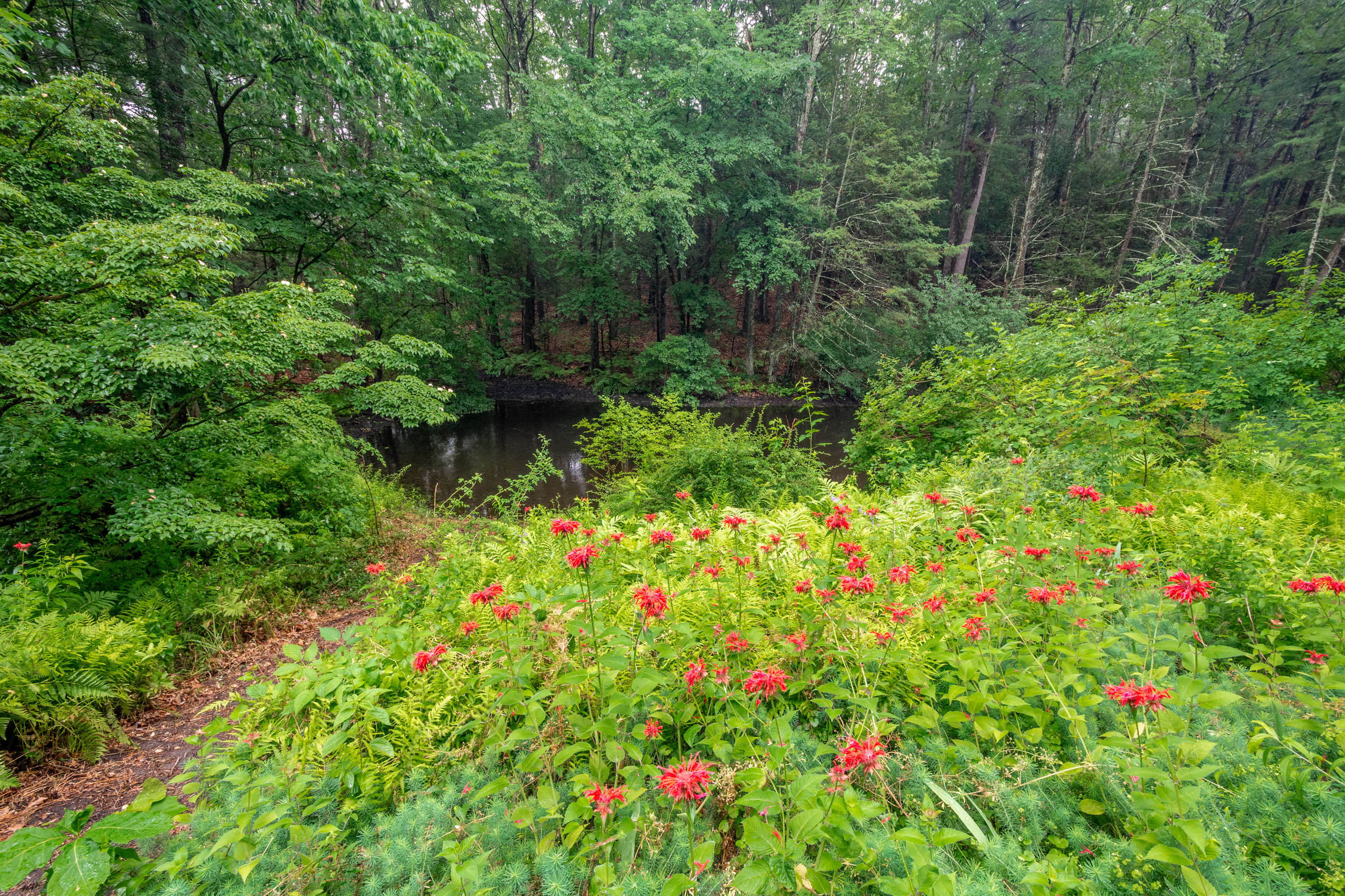  20 Stonehedge Road, Lincoln, MA 01773 - 物件實景