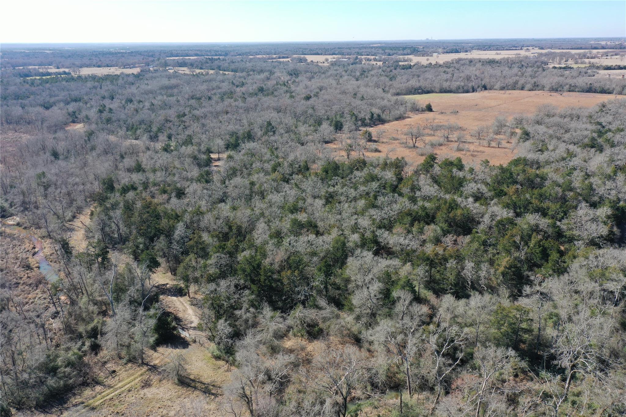 1151 Fowler Road, Bremond, Texas, 76629, United States, ,Land,For Sale,1151 Fowler Road,1621605