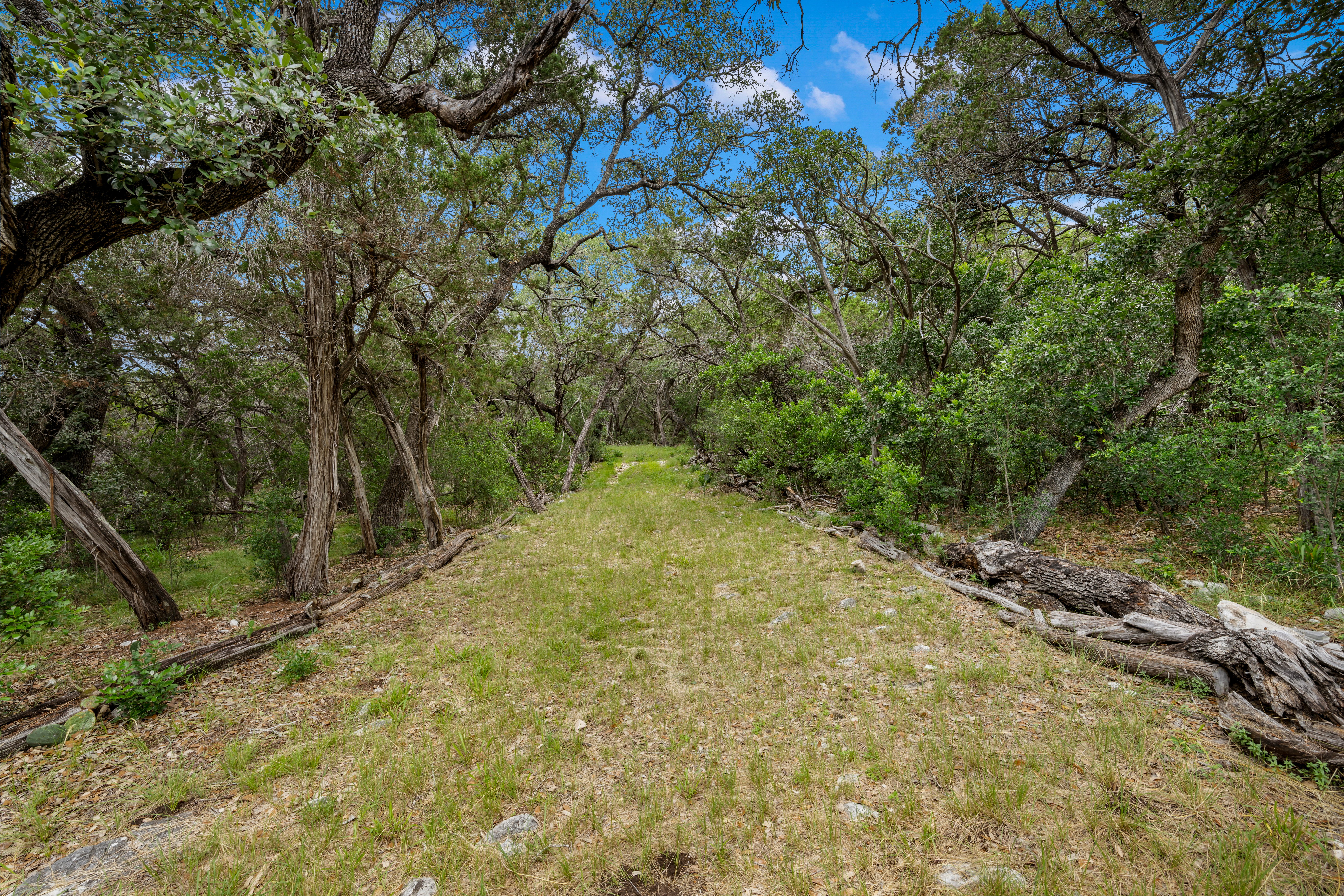  Medina Ranch  41.51 Acres - 物件實景