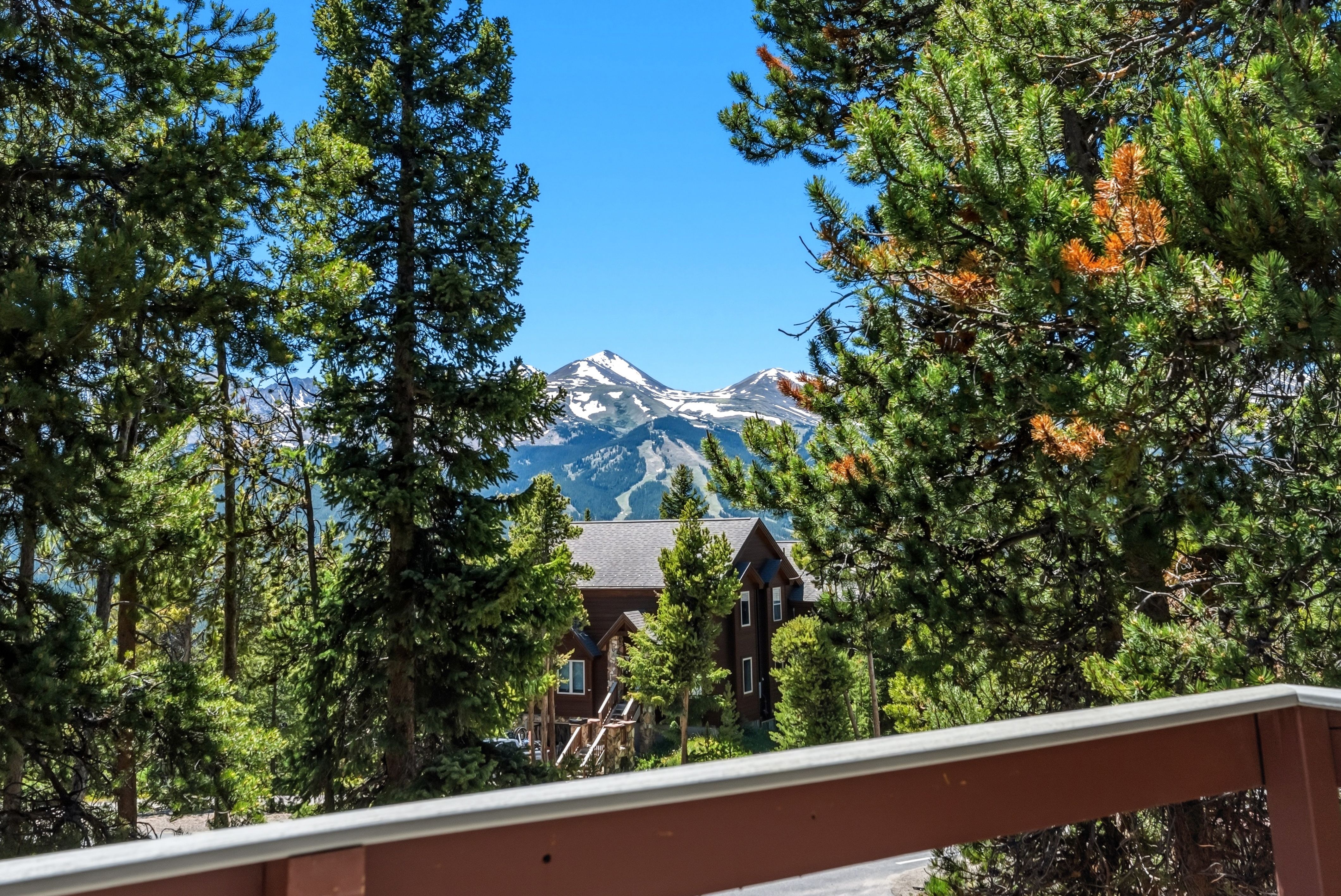  1233 Baldy Road, Breckenridge, CO 80424 - 物件實景