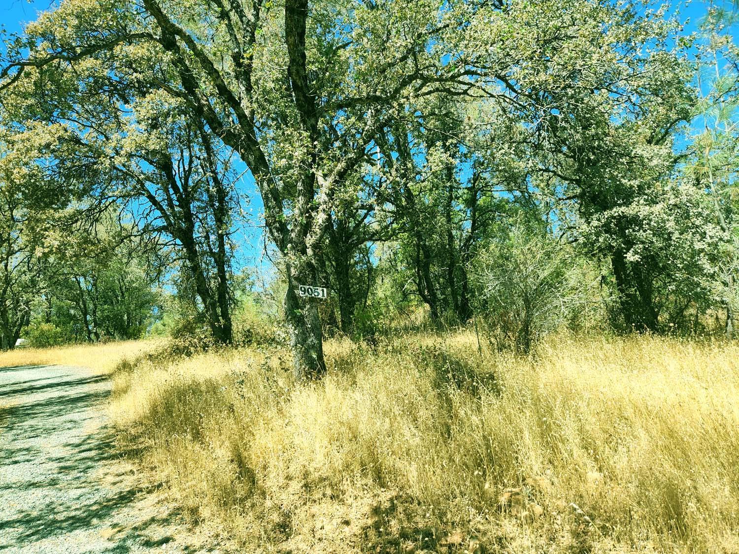 Oregon House, California, 95962, United States, 4 Bedrooms Bedrooms, ,3 BathroomsBathrooms,Residential,For Sale,1976473