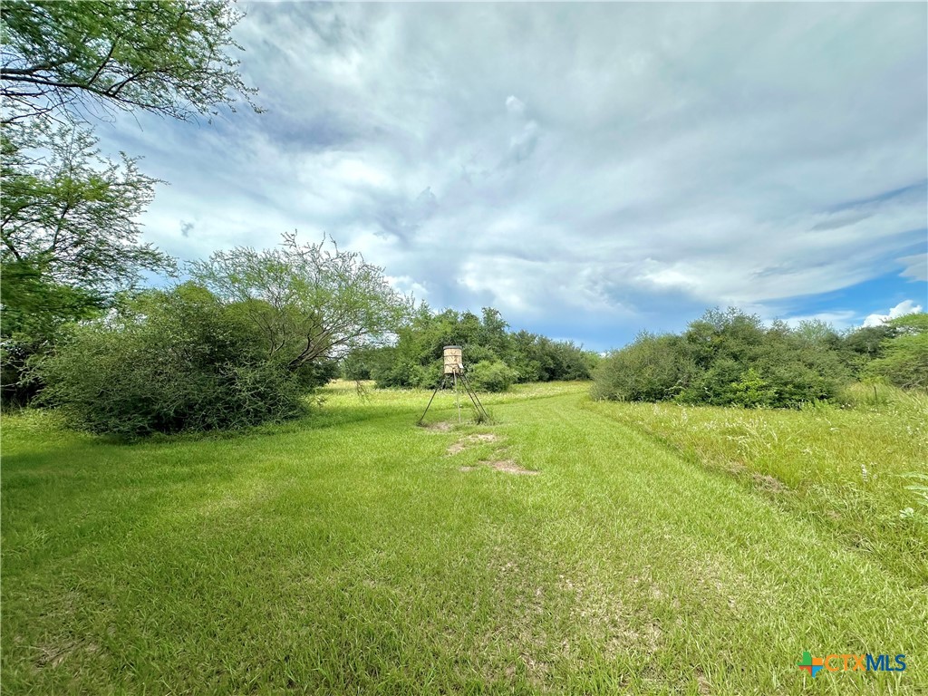 Nursery, Texas, 77976, United States, ,Land,For Sale,1885536