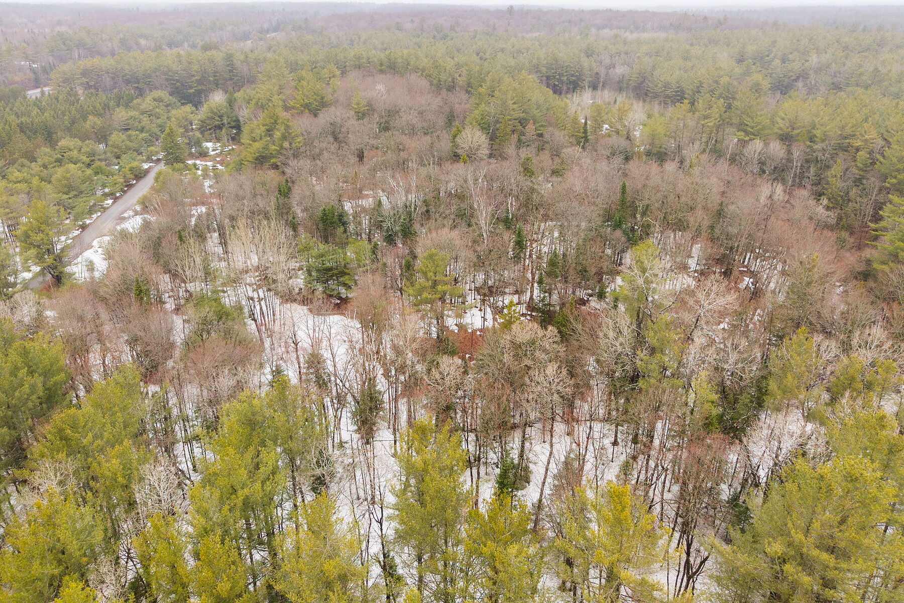  A Rare Muskoka Land Offering - 物件實景