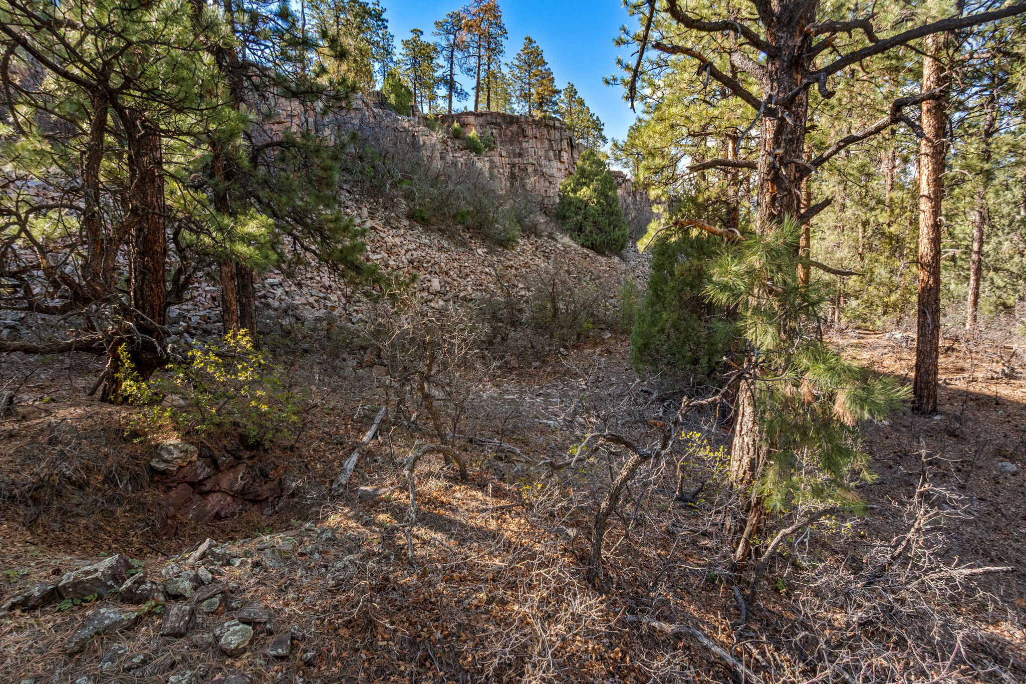  47 Ambush Canyon, Durango, CO 81301 - 物件實景