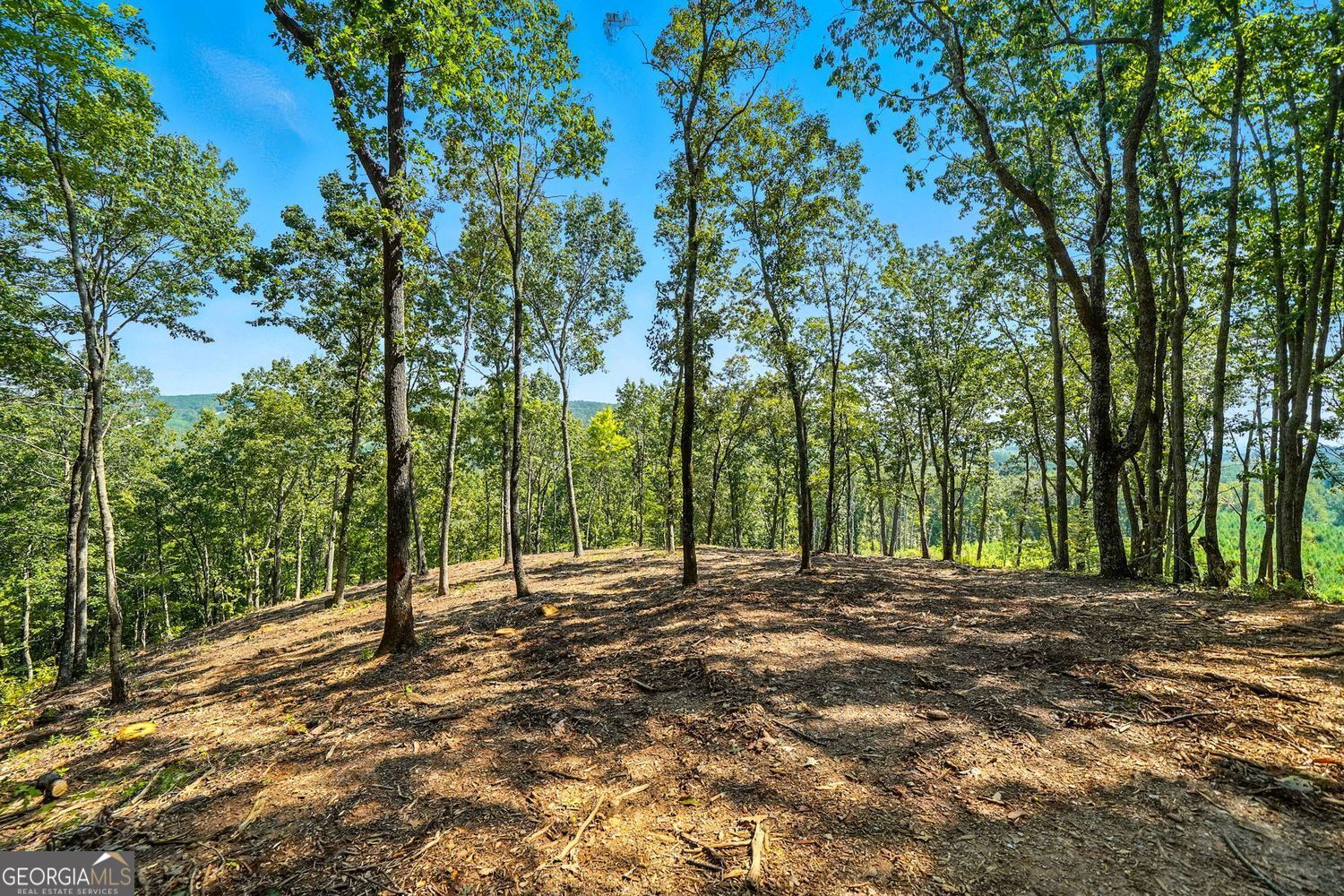 Waleska, Georgia, 30183, United States, ,Land,For Sale,1929808