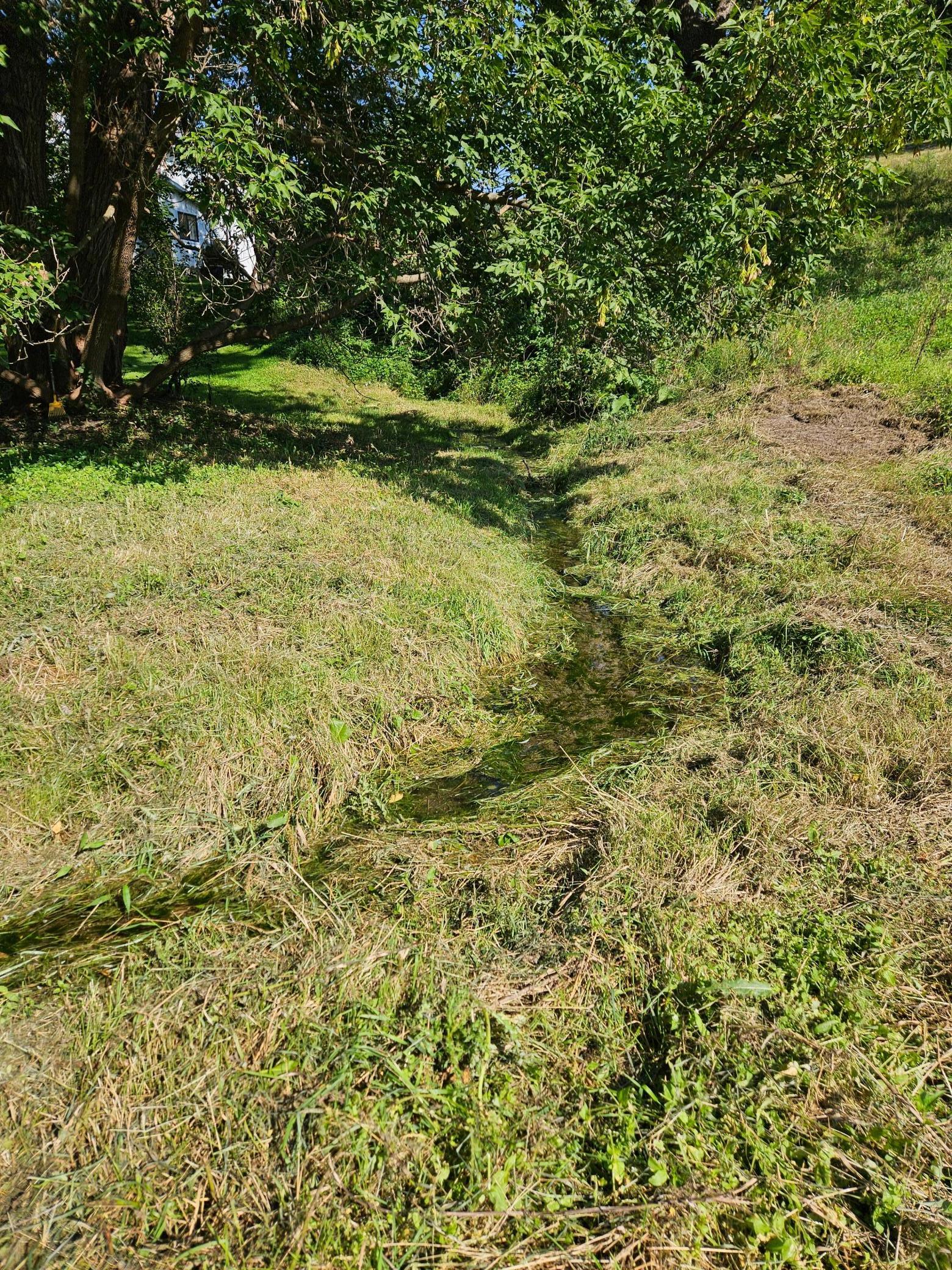 Winona, Minnesota, 55987, United States, 5 Bedrooms Bedrooms, ,2 BathroomsBathrooms,Residential,For Sale,2005788