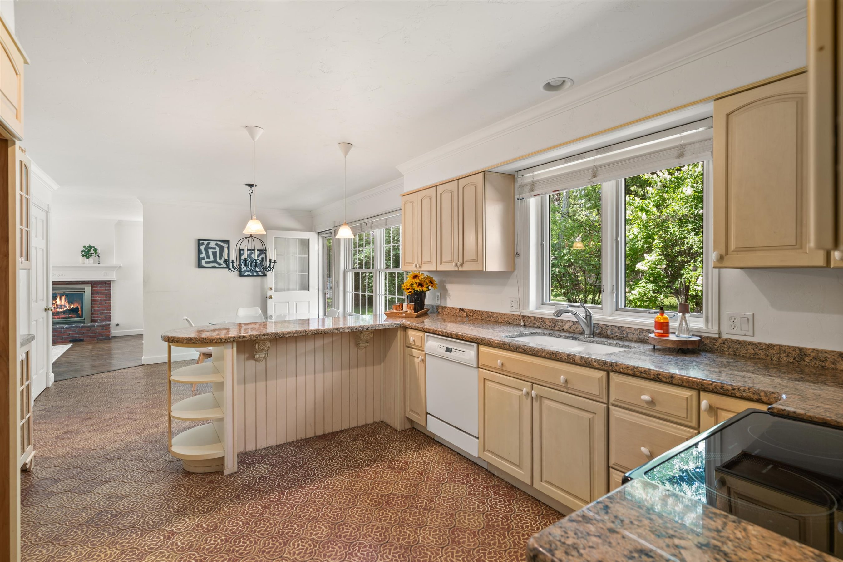  875 Bonita Drive, Aspen, CO 81611 - 物件實景